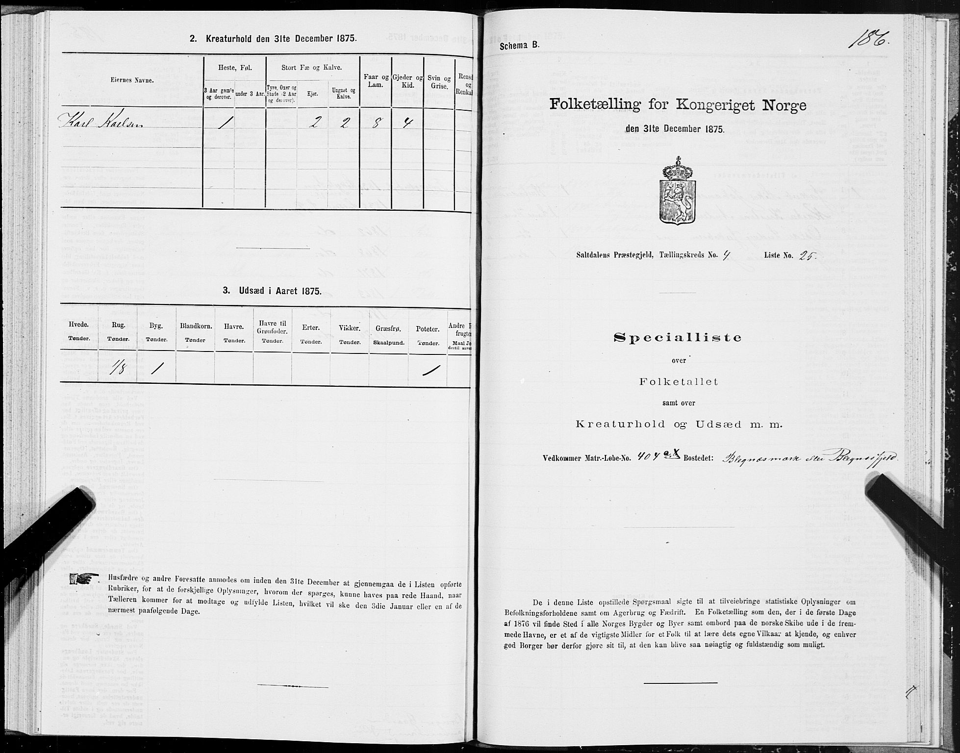 SAT, Folketelling 1875 for 1840P Saltdal prestegjeld, 1875, s. 2186