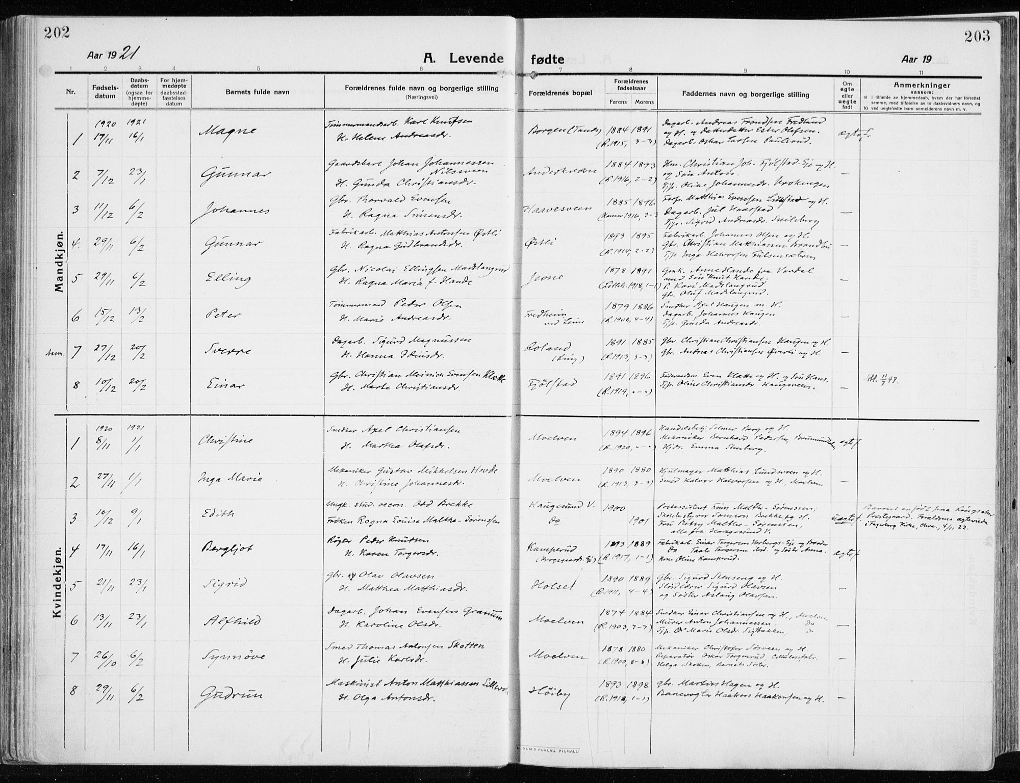 Ringsaker prestekontor, AV/SAH-PREST-014/K/Ka/L0020: Ministerialbok nr. 20, 1913-1922, s. 202-203