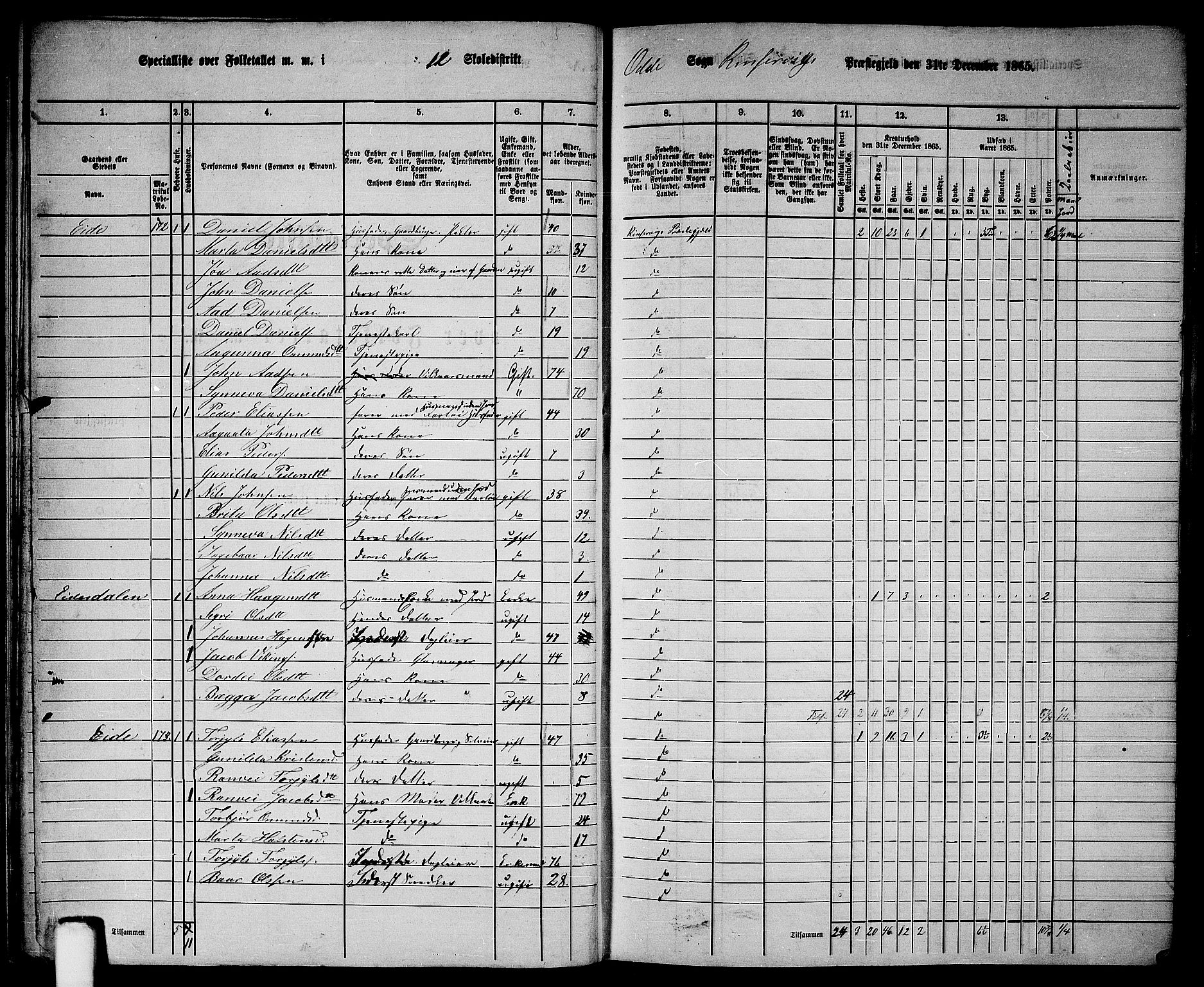 RA, Folketelling 1865 for 1230P Kinsarvik prestegjeld, 1865, s. 49