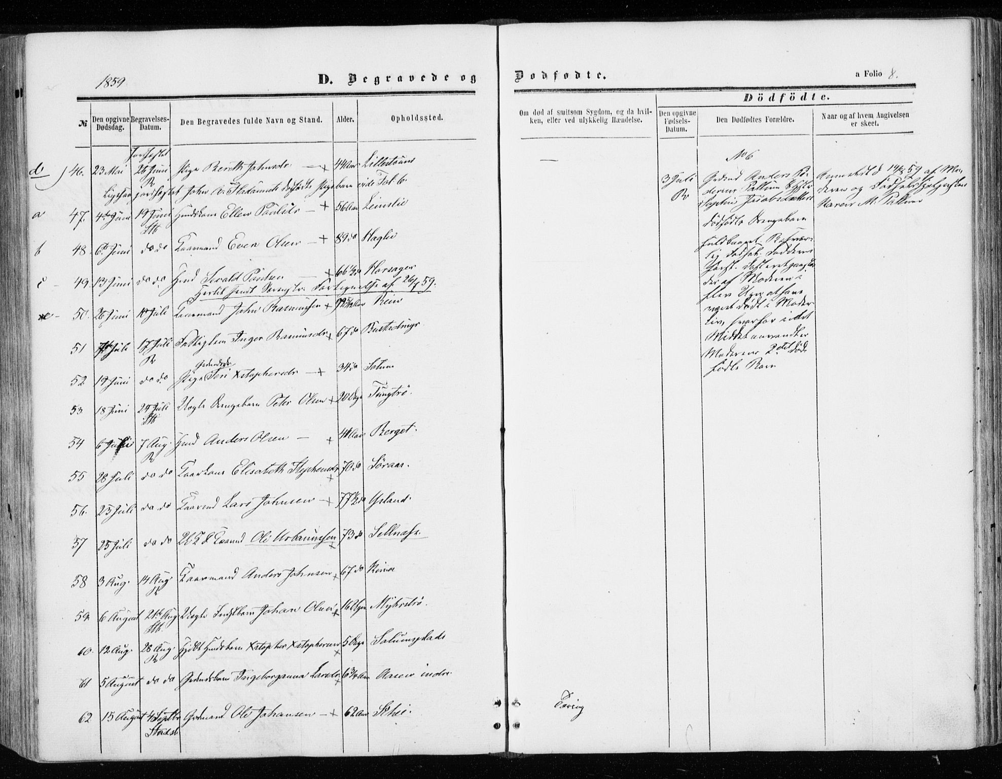 Ministerialprotokoller, klokkerbøker og fødselsregistre - Sør-Trøndelag, SAT/A-1456/646/L0612: Ministerialbok nr. 646A10, 1858-1869, s. 8