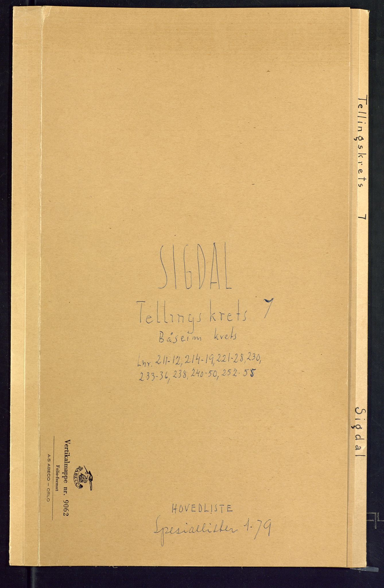 SAKO, Folketelling 1875 for 0621P Sigdal prestegjeld, 1875, s. 29