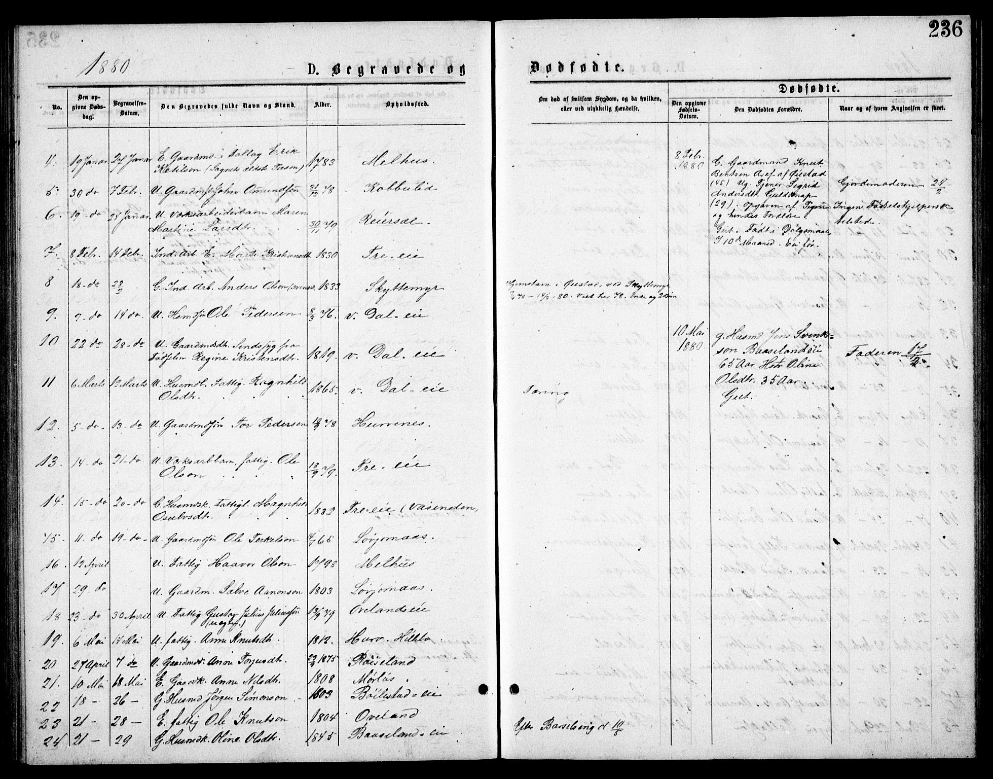 Froland sokneprestkontor, AV/SAK-1111-0013/F/Fb/L0009: Klokkerbok nr. B 9, 1875-1893, s. 236