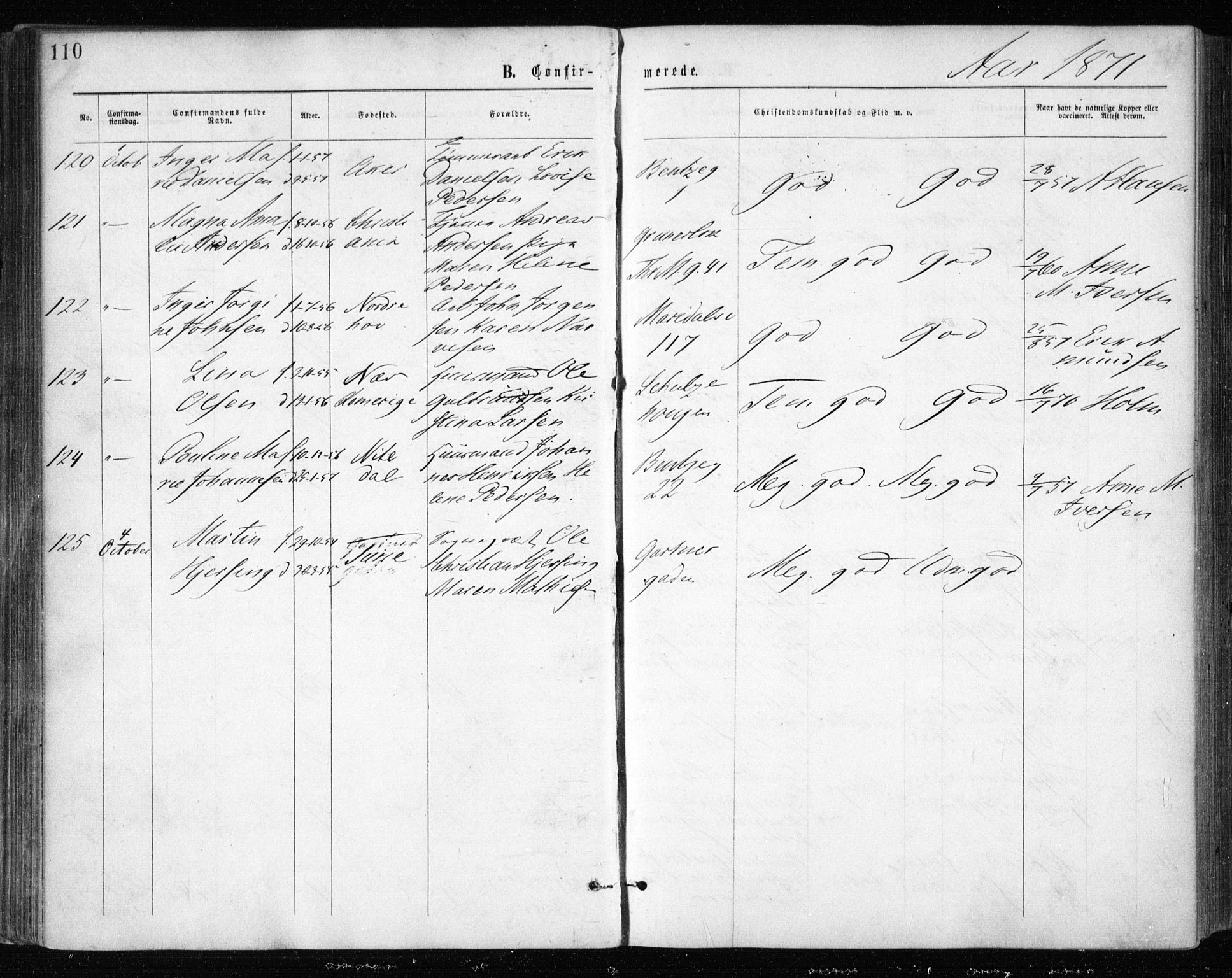 Gamle Aker prestekontor Kirkebøker, AV/SAO-A-10617a/F/L0003: Ministerialbok nr. 3, 1865-1873, s. 110
