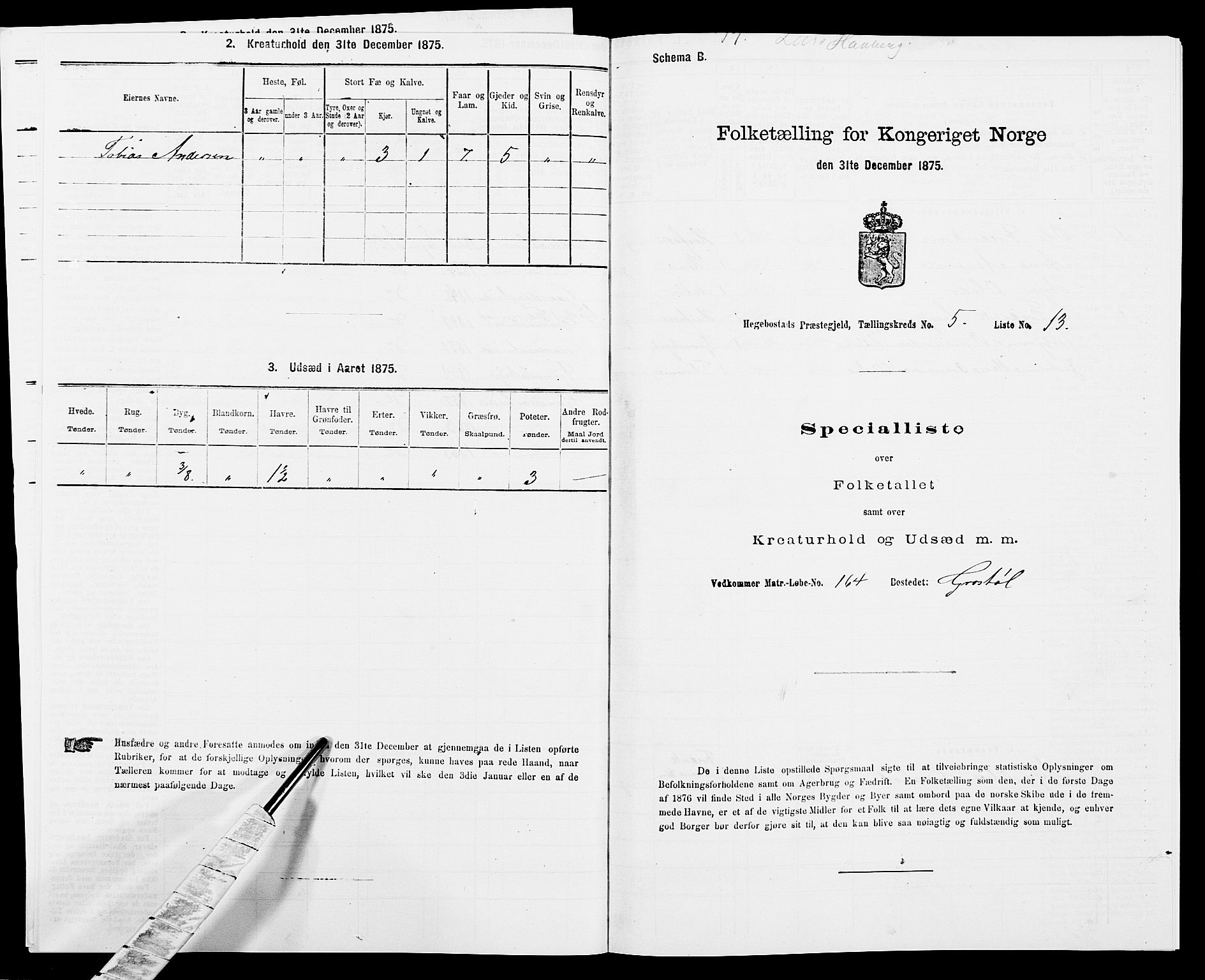 SAK, Folketelling 1875 for 1034P Hægebostad prestegjeld, 1875, s. 494