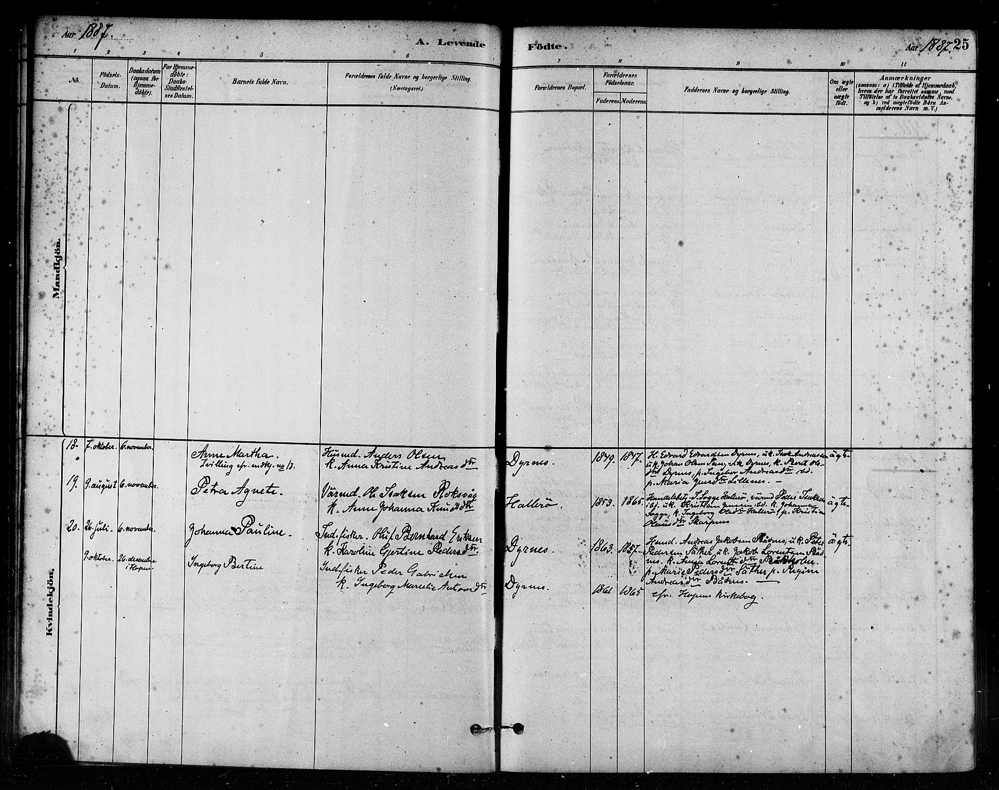 Ministerialprotokoller, klokkerbøker og fødselsregistre - Møre og Romsdal, AV/SAT-A-1454/582/L0947: Ministerialbok nr. 582A01, 1880-1900, s. 25
