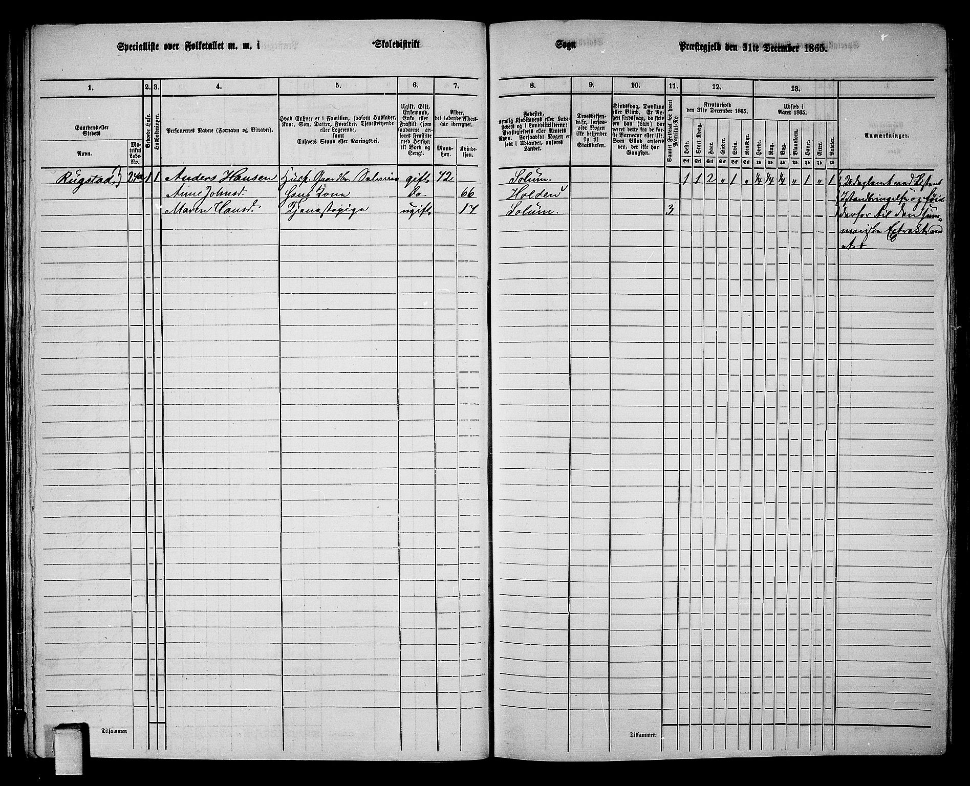 RA, Folketelling 1865 for 0818P Solum prestegjeld, 1865, s. 45
