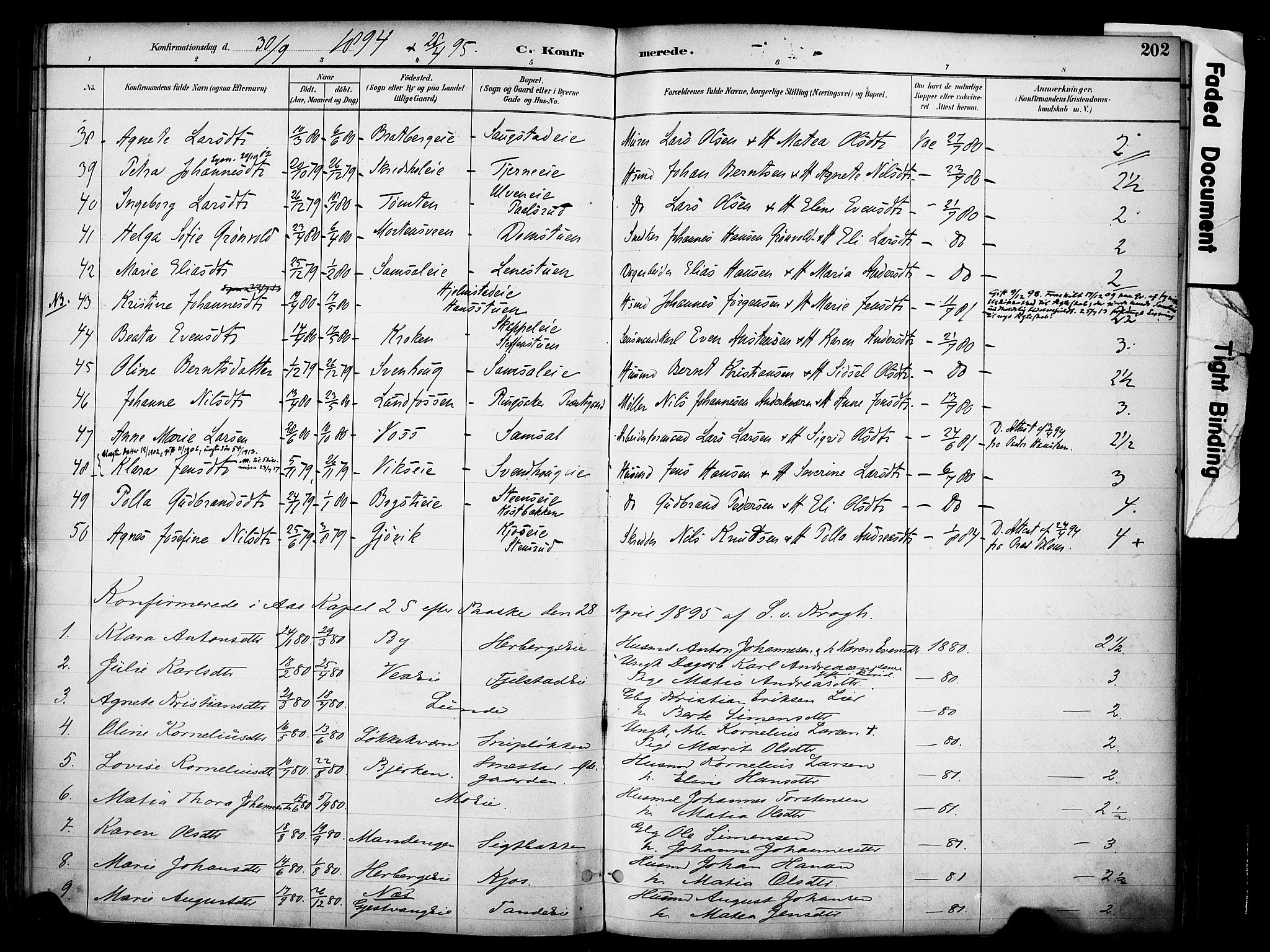 Ringsaker prestekontor, AV/SAH-PREST-014/K/Ka/L0017: Ministerialbok nr. 17, 1891-1902, s. 202