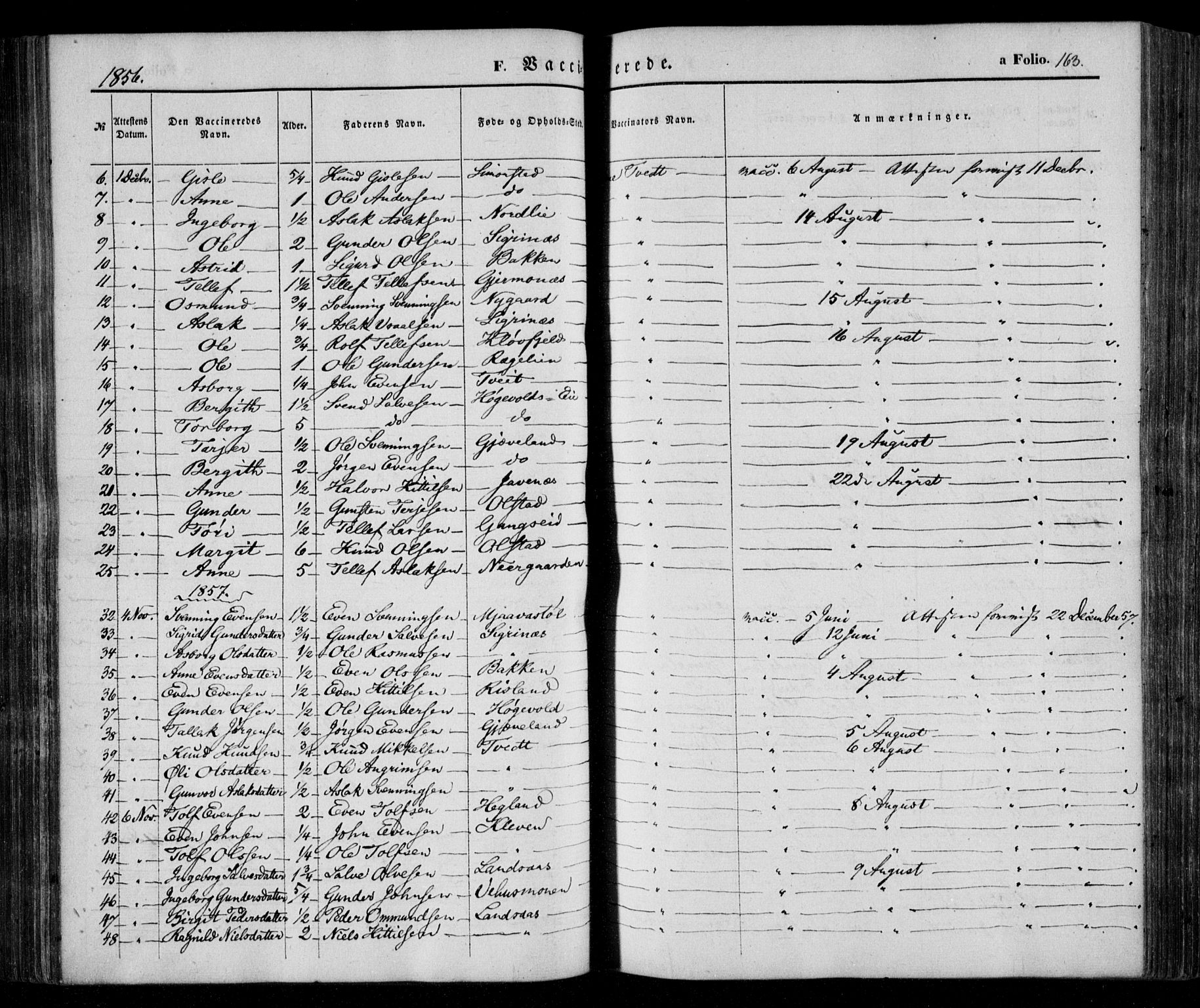 Åmli sokneprestkontor, AV/SAK-1111-0050/F/Fa/Fac/L0008: Ministerialbok nr. A 8, 1852-1869, s. 163