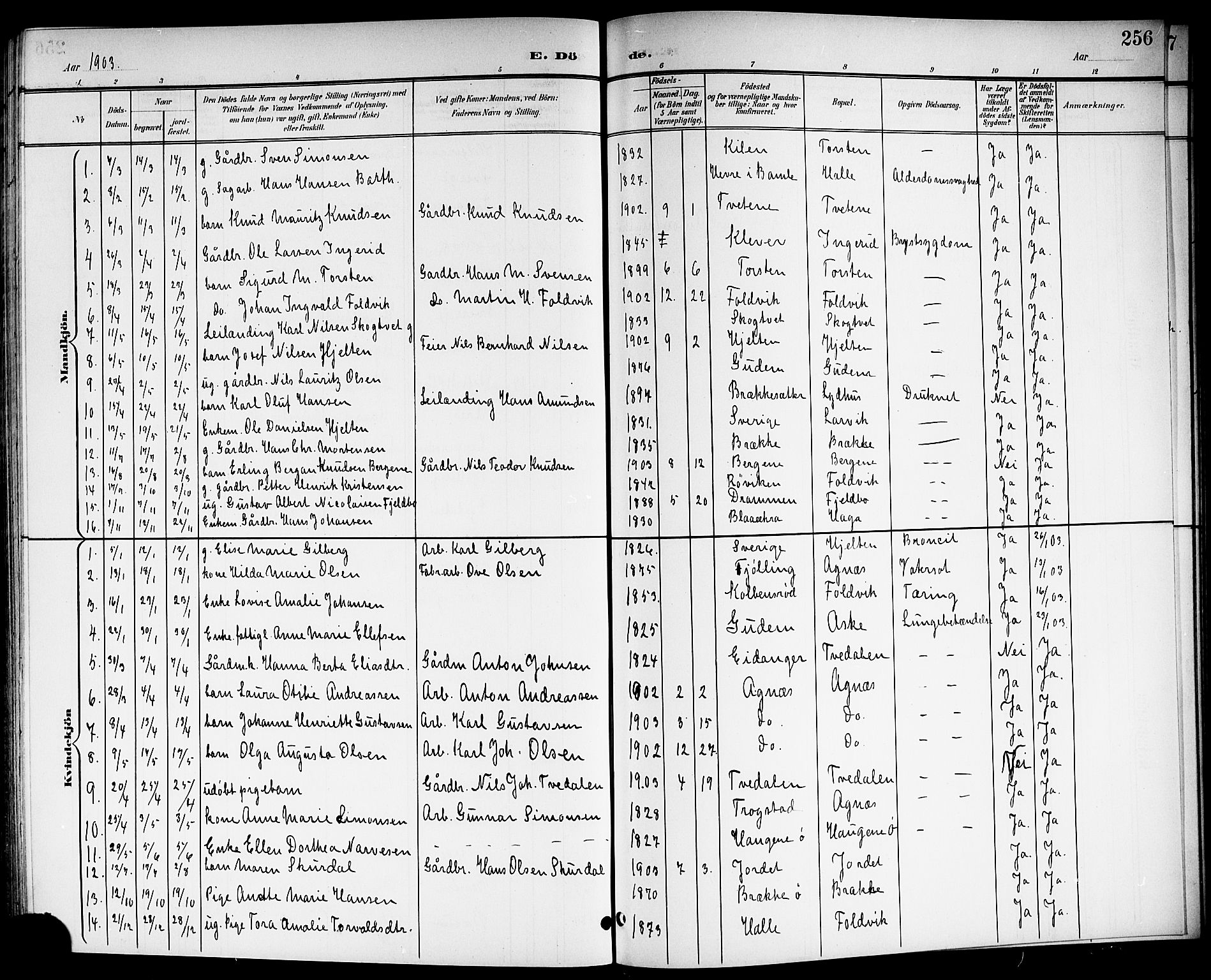 Brunlanes kirkebøker, SAKO/A-342/G/Ga/L0004: Klokkerbok nr. I 4, 1898-1921, s. 256