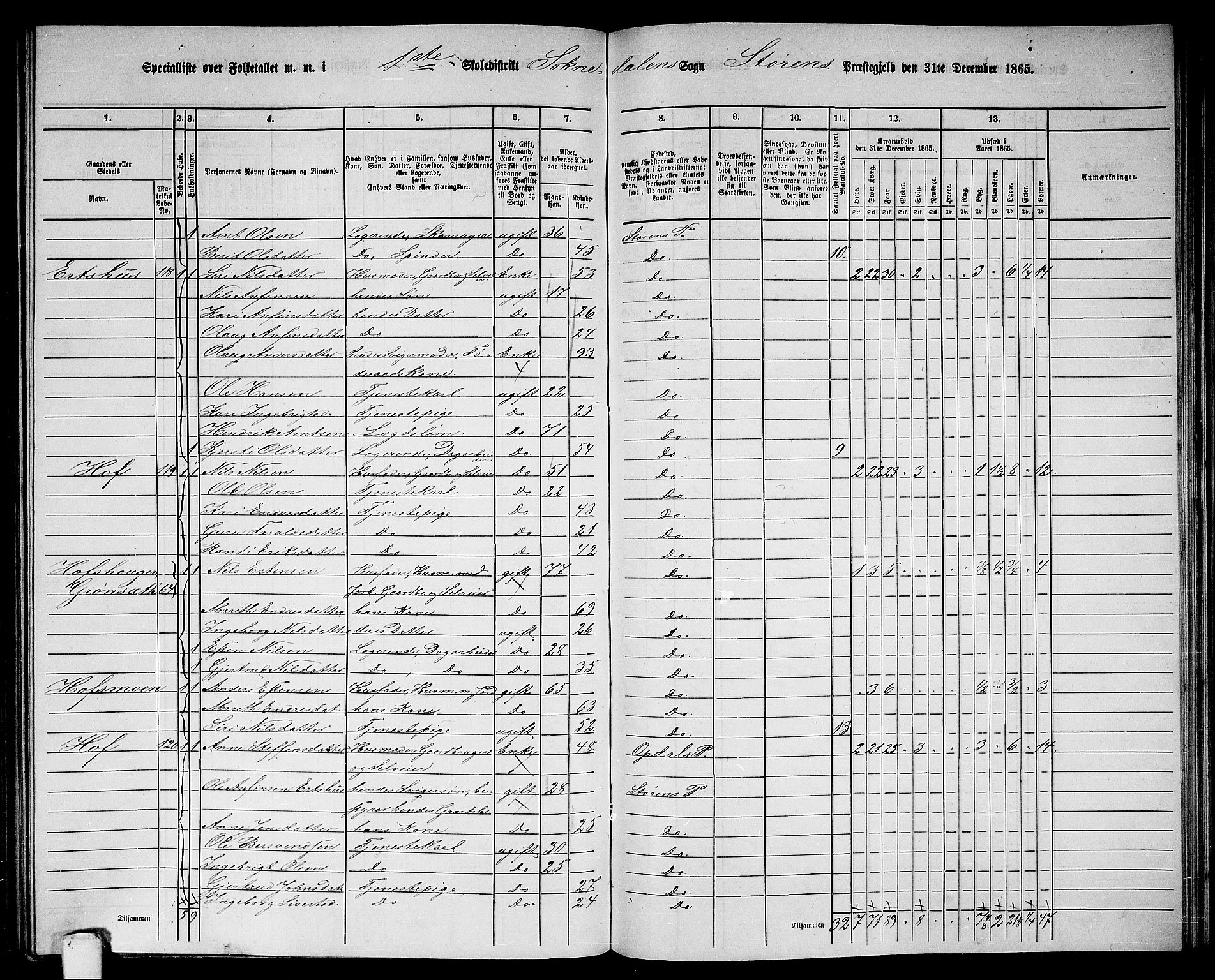 RA, Folketelling 1865 for 1648P Støren prestegjeld, 1865, s. 232