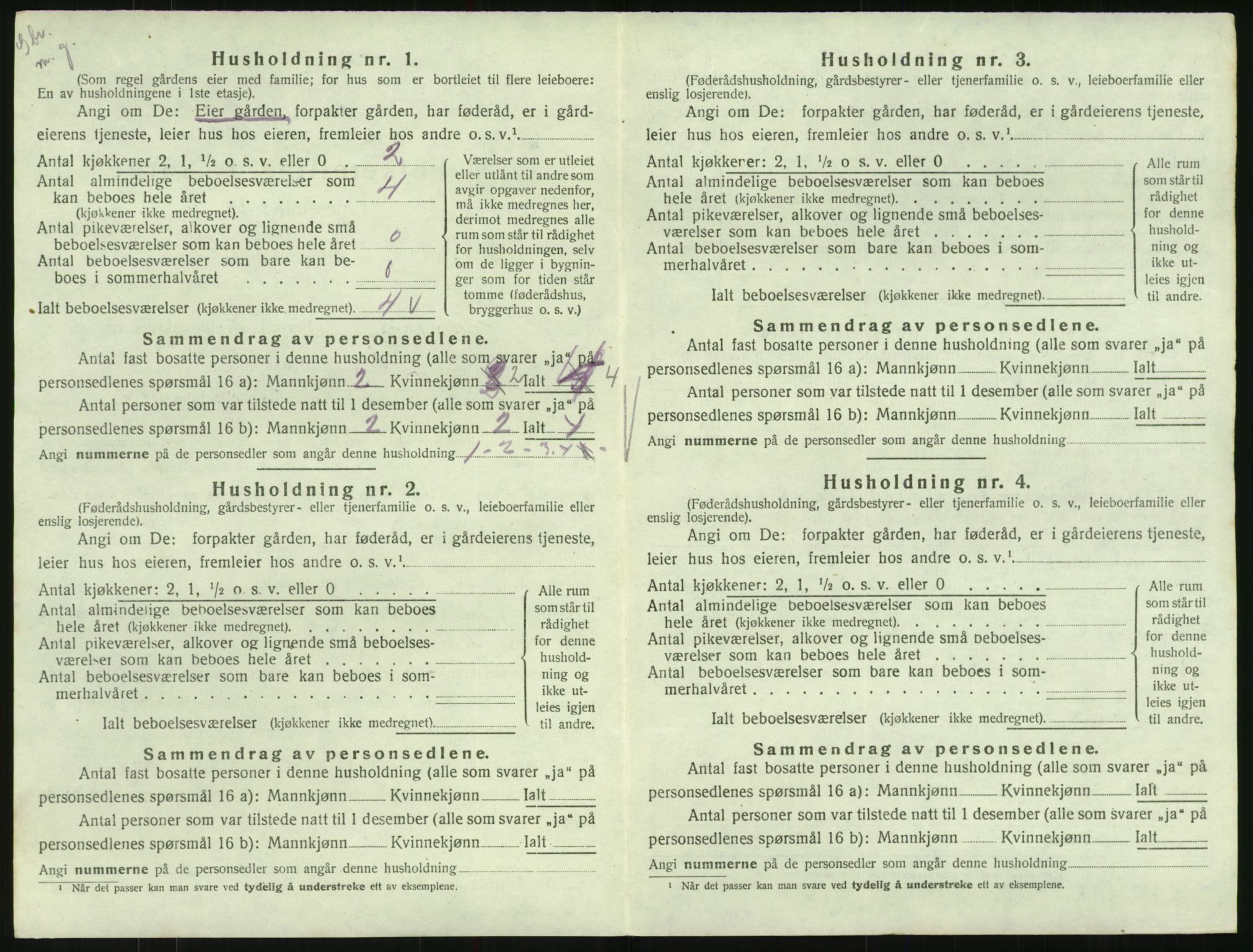 SAK, Folketelling 1920 for 0936 Hornnes herred, 1920, s. 74