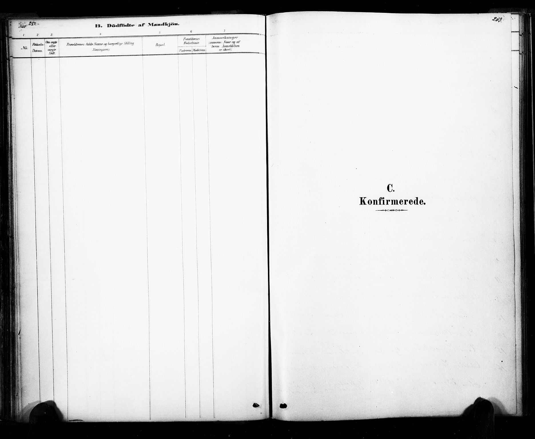 Ramnes kirkebøker, SAKO/A-314/F/Fa/L0007: Ministerialbok nr. I 7, 1878-1895, s. 262-263
