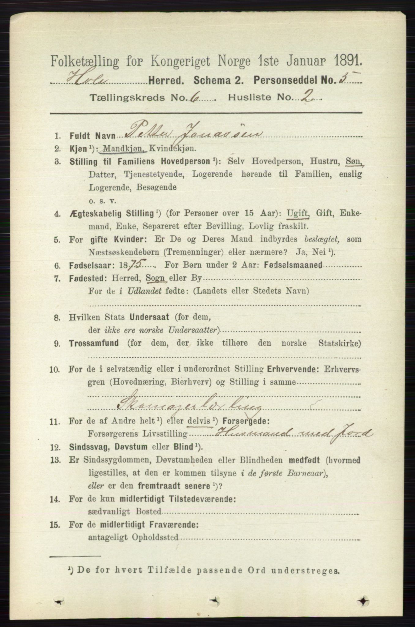 RA, Folketelling 1891 for 0612 Hole herred, 1891, s. 3115