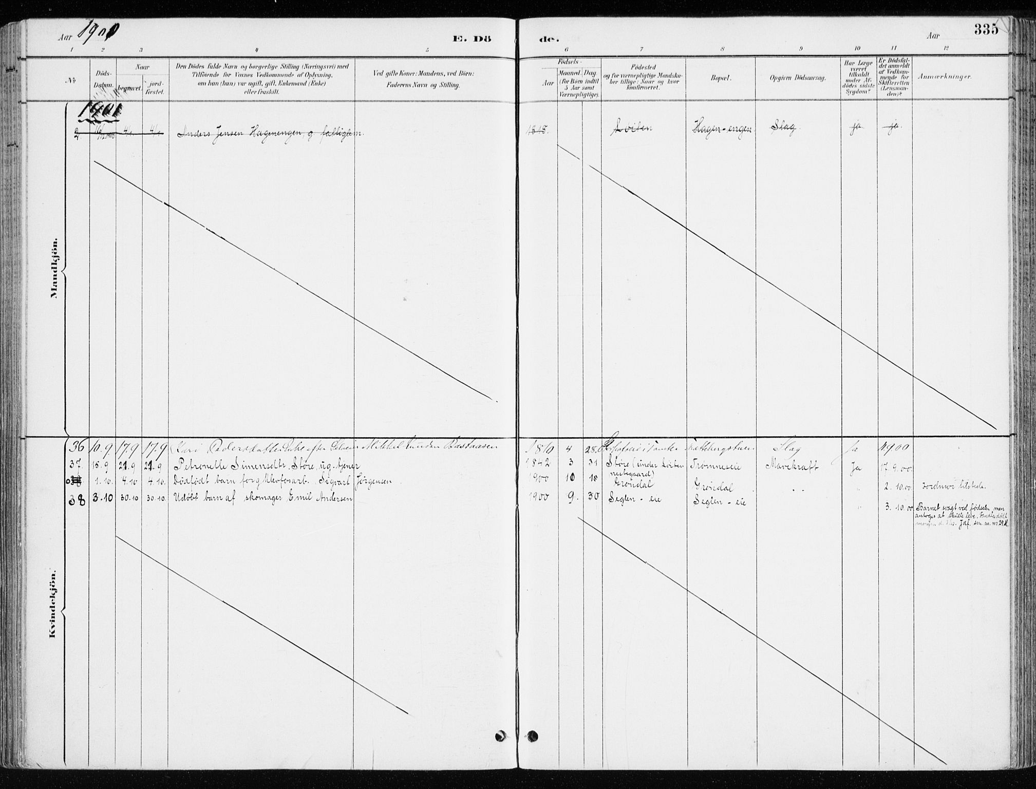 Løten prestekontor, SAH/PREST-022/K/Ka/L0010: Ministerialbok nr. 10, 1892-1907, s. 335