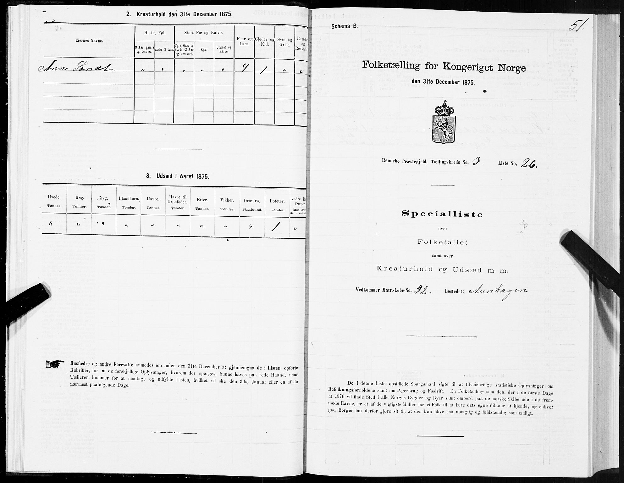 SAT, Folketelling 1875 for 1635P Rennebu prestegjeld, 1875, s. 2051