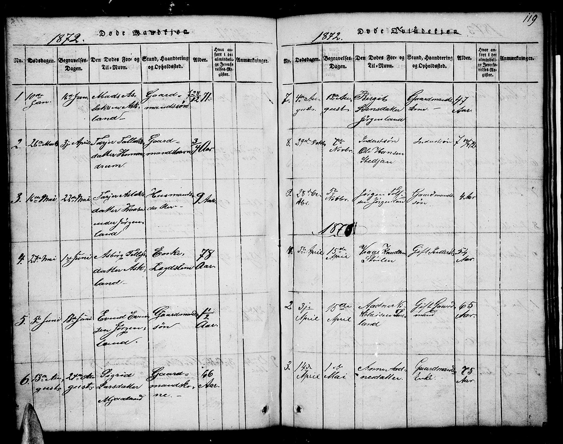 Åmli sokneprestkontor, SAK/1111-0050/F/Fb/Fba/L0001: Klokkerbok nr. B 1, 1816-1890, s. 119