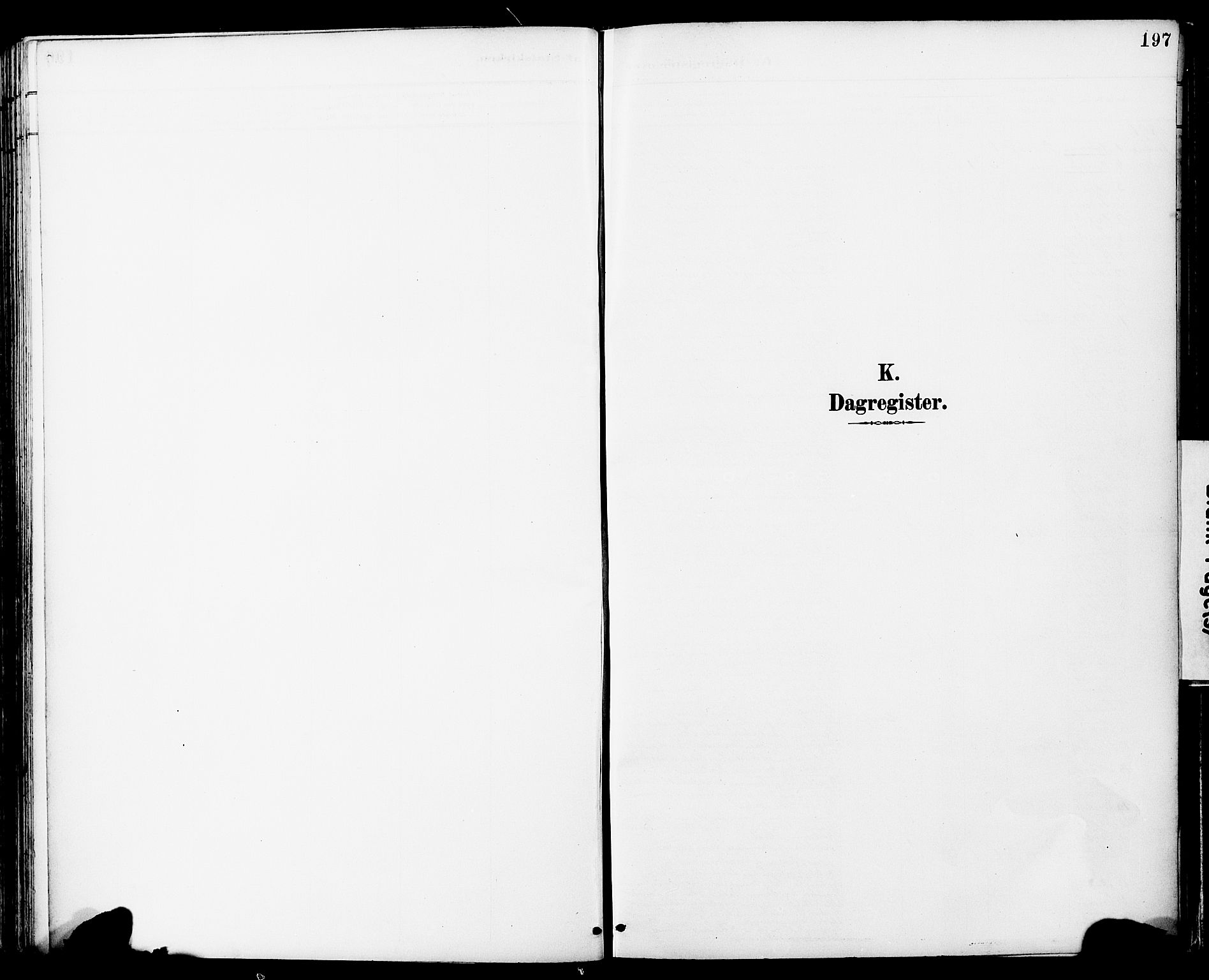 Ministerialprotokoller, klokkerbøker og fødselsregistre - Sør-Trøndelag, SAT/A-1456/681/L0935: Ministerialbok nr. 681A13, 1890-1898, s. 197