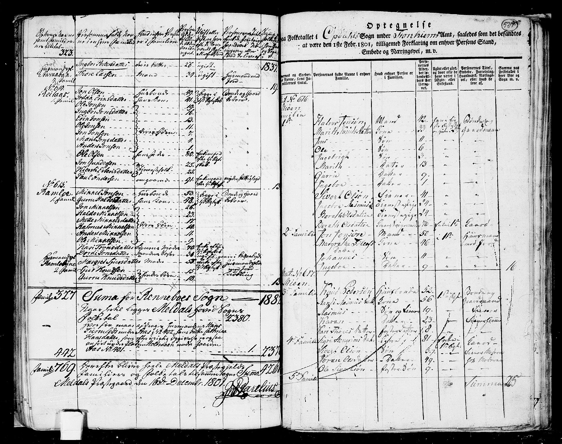 RA, Folketelling 1801 for 1634P Oppdal prestegjeld, 1801, s. 536b-537a