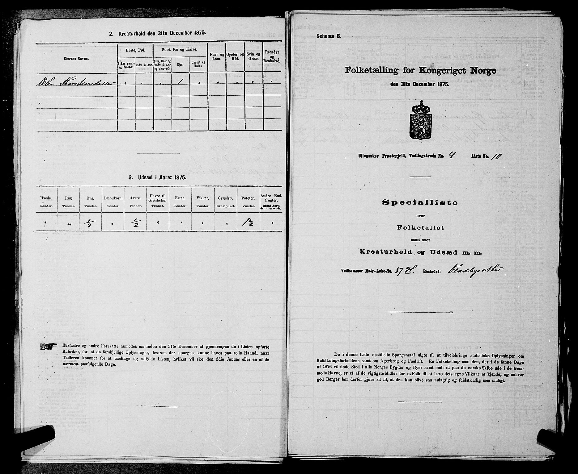 RA, Folketelling 1875 for 0235P Ullensaker prestegjeld, 1875, s. 489