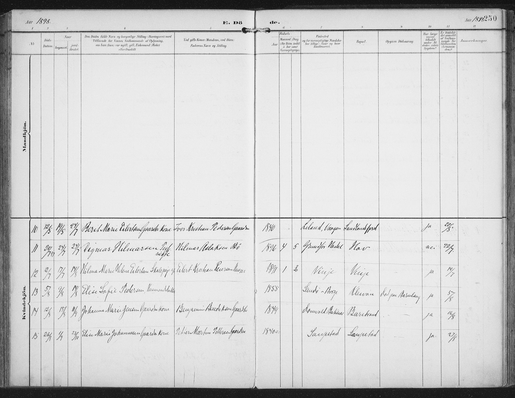 Ministerialprotokoller, klokkerbøker og fødselsregistre - Nordland, SAT/A-1459/876/L1098: Ministerialbok nr. 876A04, 1896-1915, s. 250