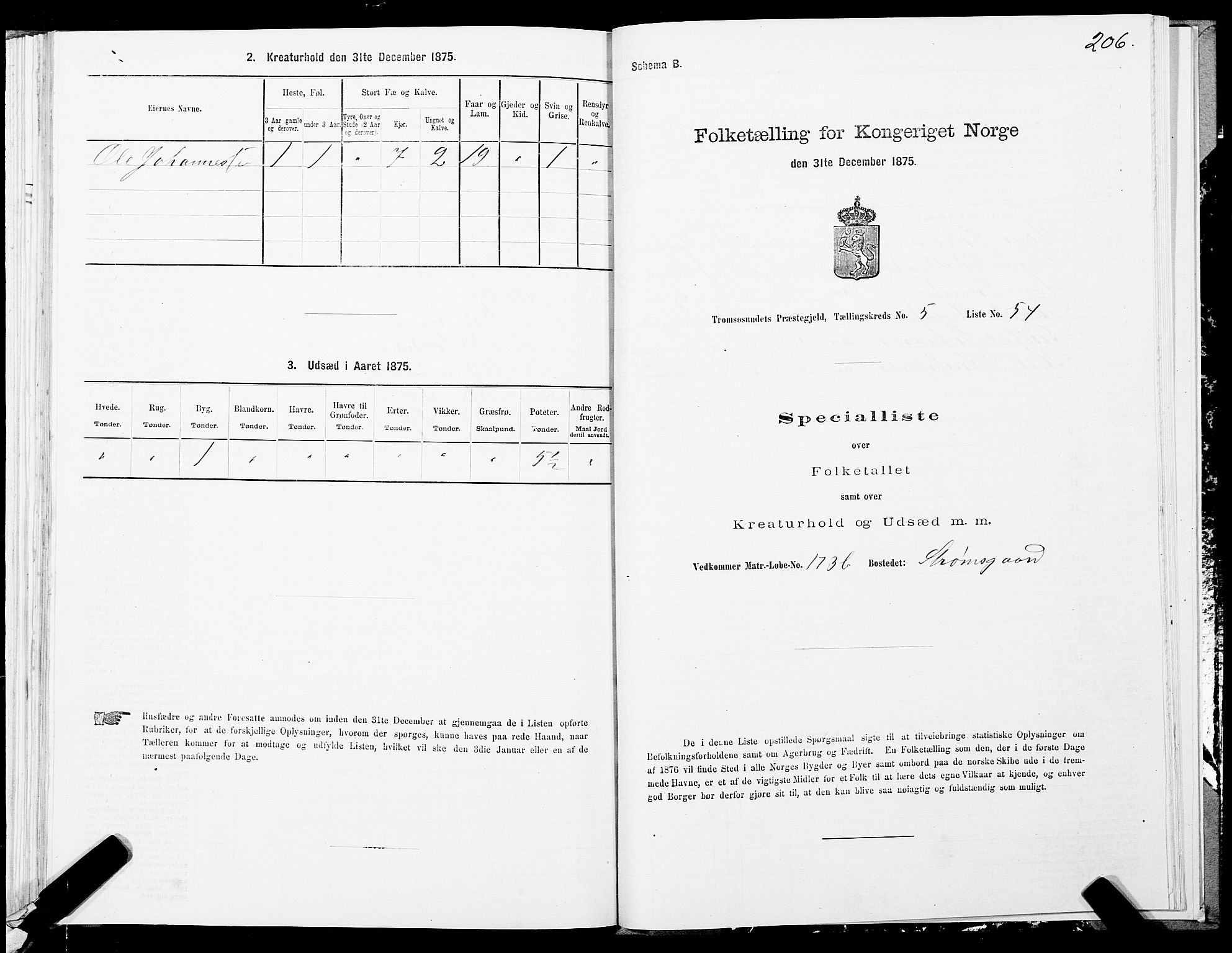 SATØ, Folketelling 1875 for 1934P Tromsøysund prestegjeld, 1875, s. 3206