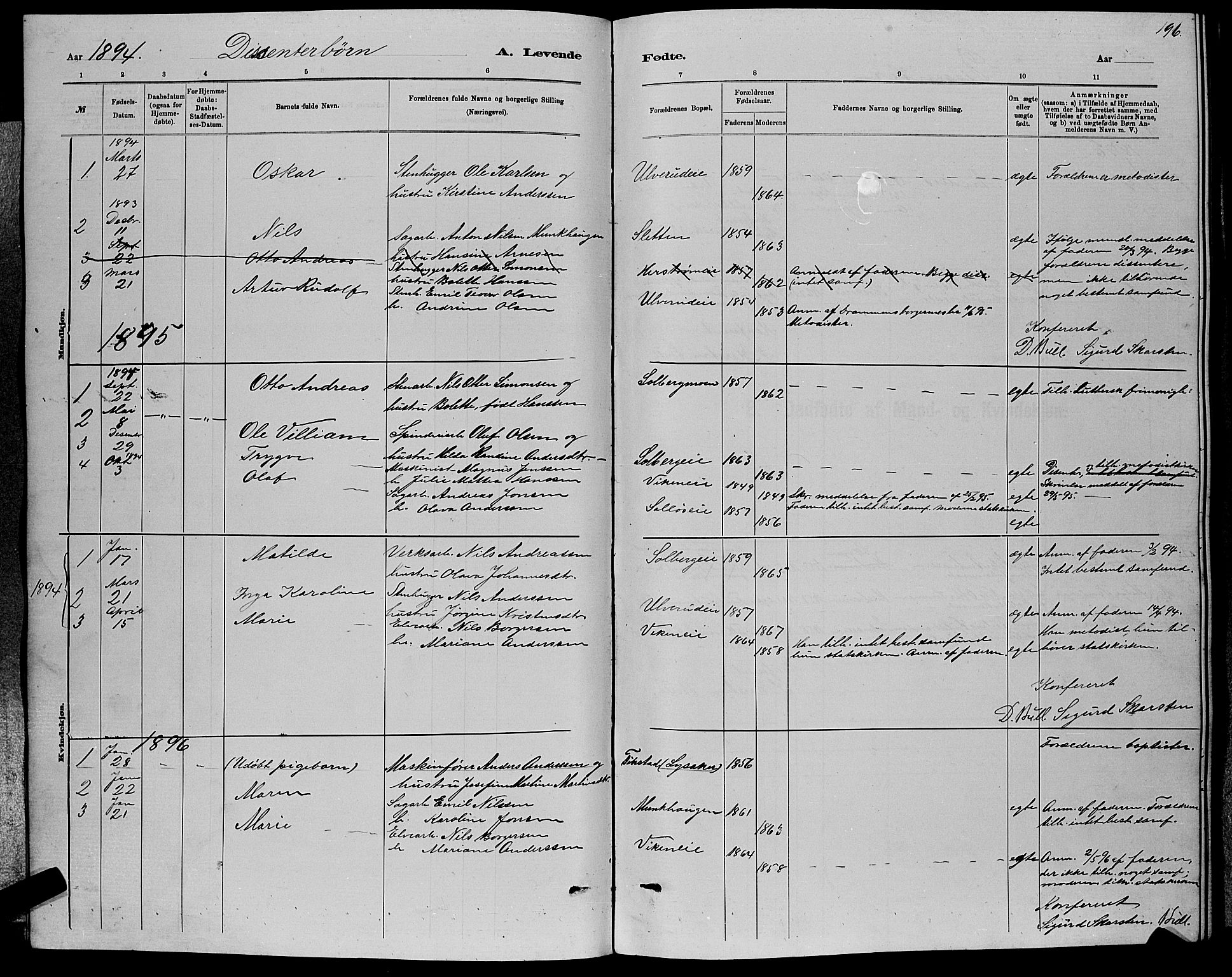 Nedre Eiker kirkebøker, AV/SAKO-A-612/G/Ga/L0002: Klokkerbok nr. 2, 1880-1896, s. 196