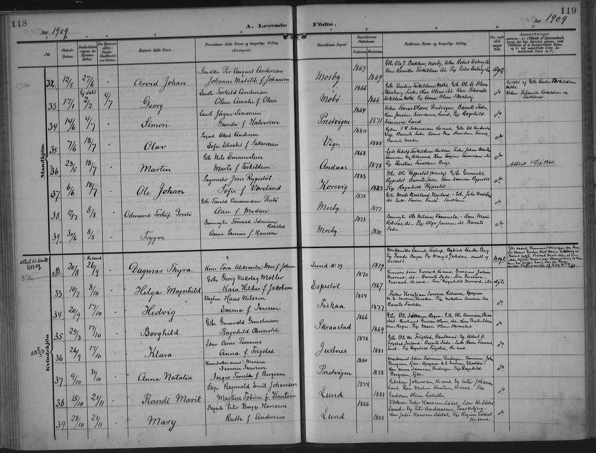 Oddernes sokneprestkontor, AV/SAK-1111-0033/F/Fa/Faa/L0011: Ministerialbok nr. A 11, 1904-1911, s. 118-119