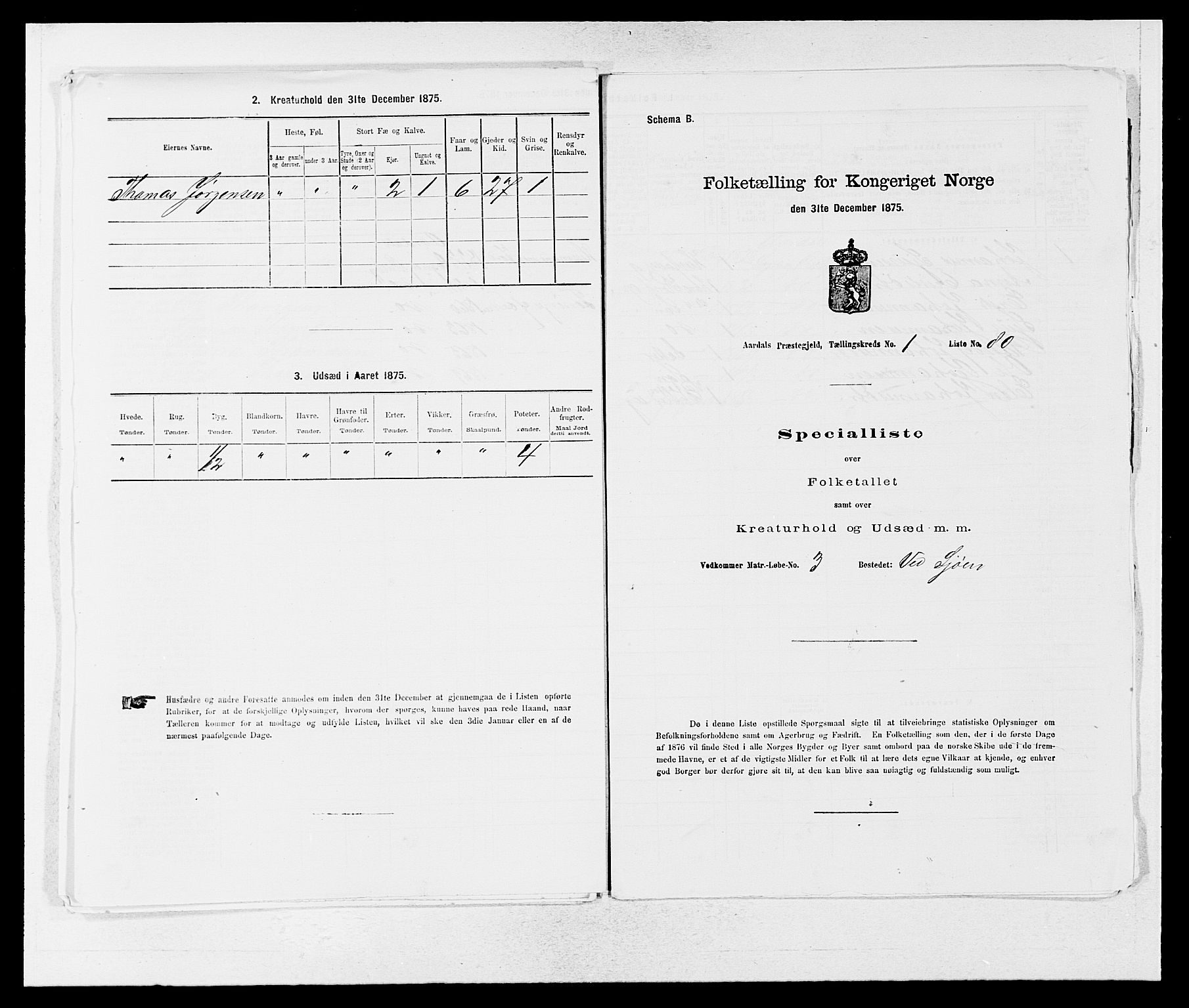 SAB, Folketelling 1875 for 1424P Årdal prestegjeld, 1875, s. 172