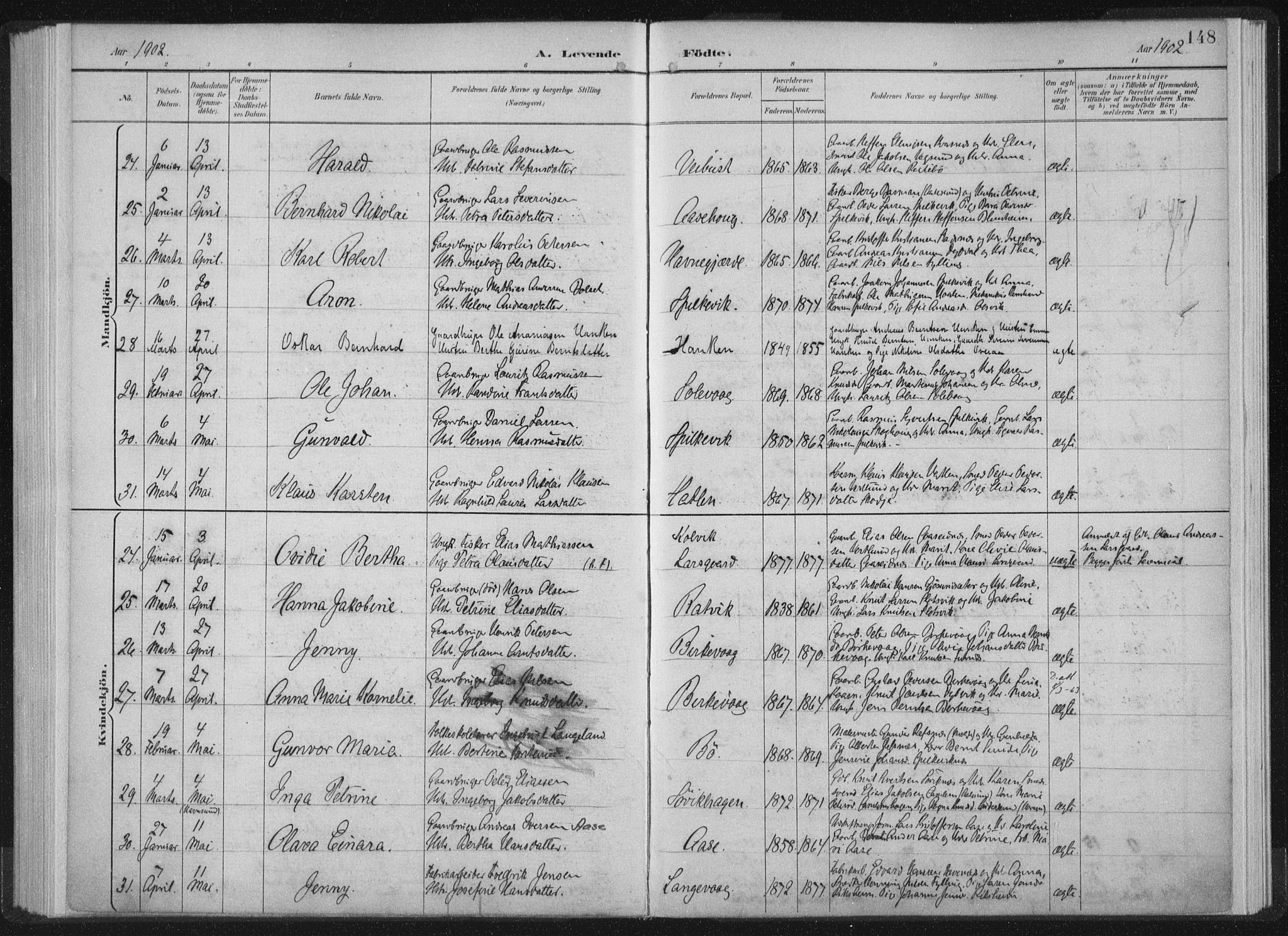 Ministerialprotokoller, klokkerbøker og fødselsregistre - Møre og Romsdal, AV/SAT-A-1454/528/L0405: Ministerialbok nr. 528A14, 1891-1906, s. 148