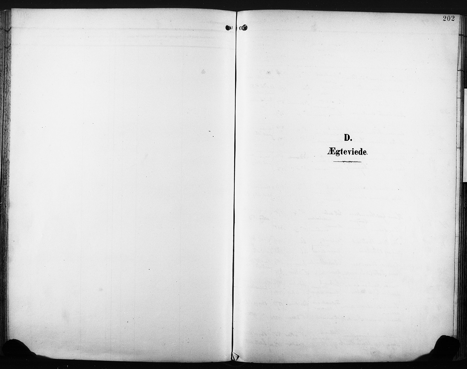 Nedre Eiker kirkebøker, SAKO/A-612/F/Fa/L0005: Ministerialbok nr. 5, 1898-1905, s. 202