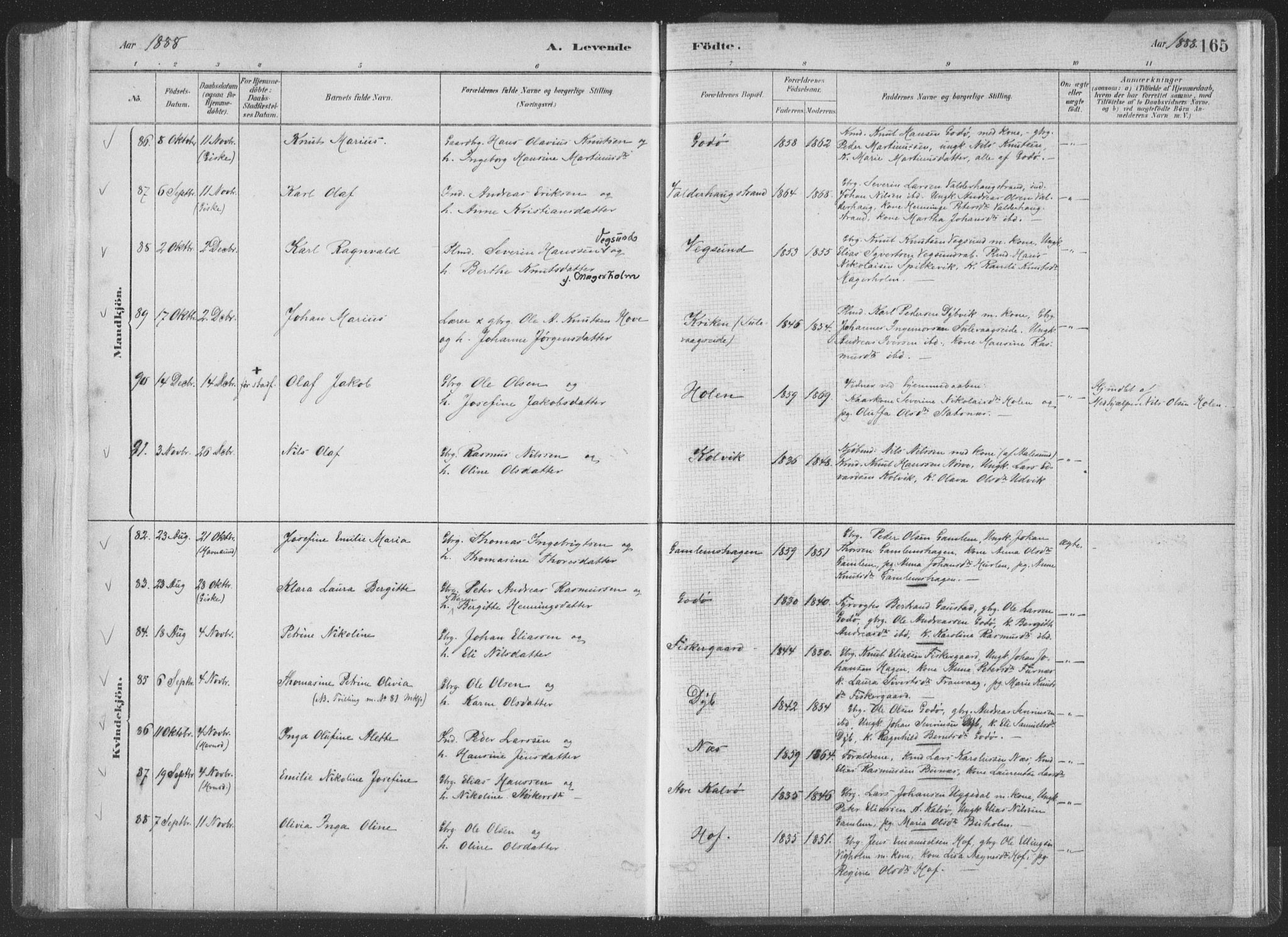 Ministerialprotokoller, klokkerbøker og fødselsregistre - Møre og Romsdal, SAT/A-1454/528/L0401: Ministerialbok nr. 528A12I, 1880-1920, s. 165
