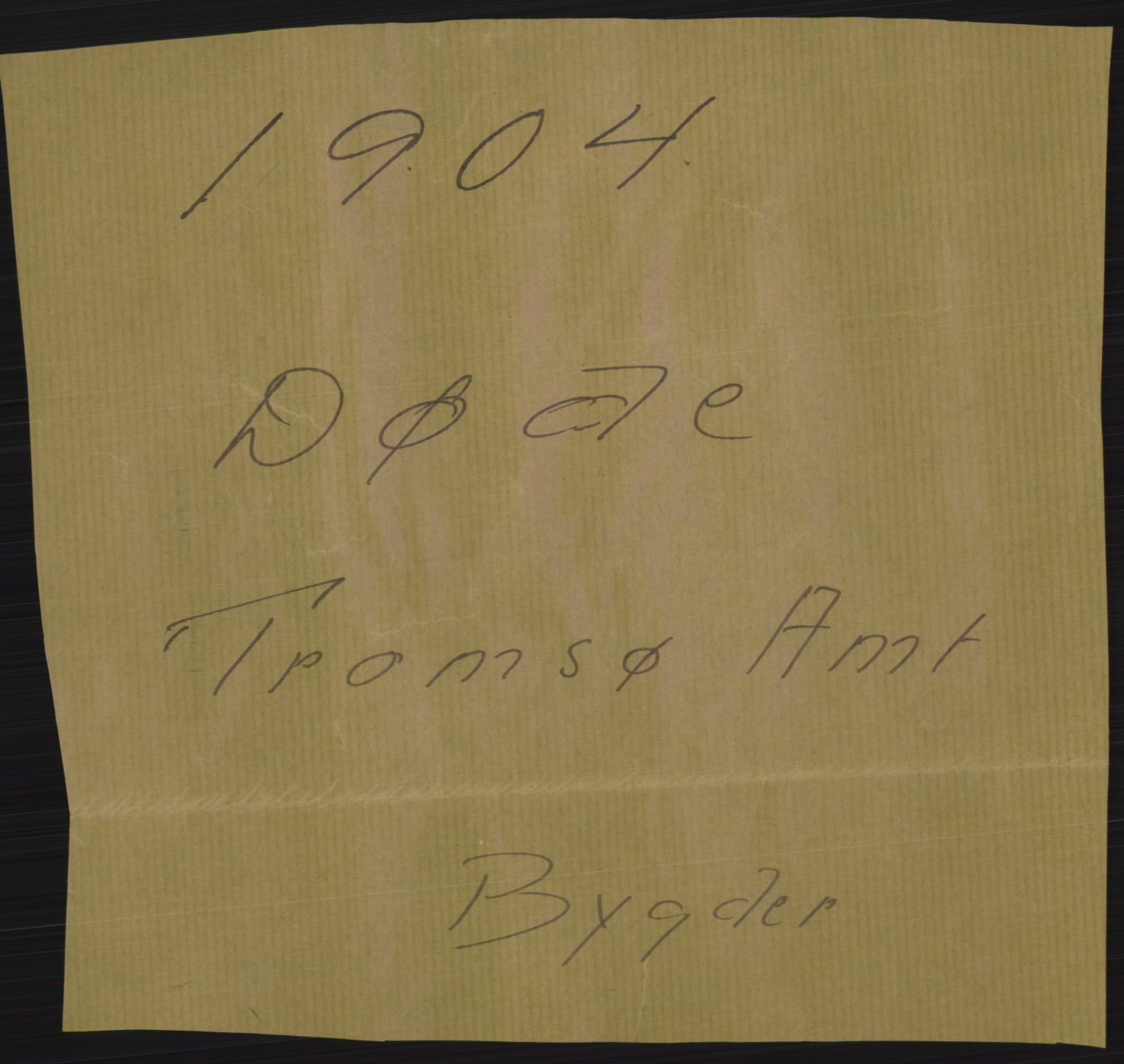 Statistisk sentralbyrå, Sosiodemografiske emner, Befolkning, RA/S-2228/D/Df/Dfa/Dfab/L0022: Tromsø amt: Fødte, gifte, døde, 1904, s. 387