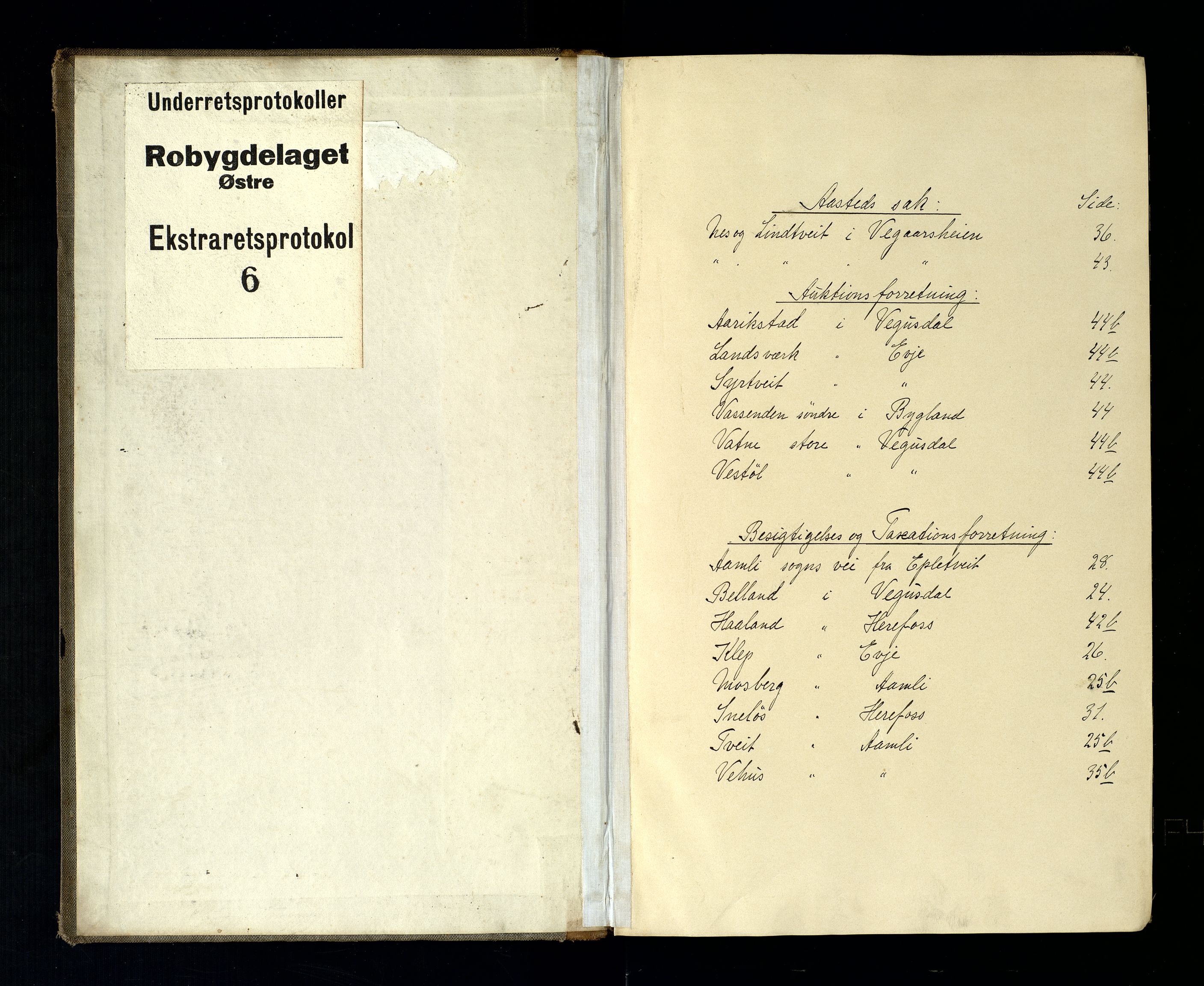 Østre Råbyggelag sorenskriveri, SAK/1221-0016/F/Fb/L0006: Ekstrarettsprotokoll nr 6, 1852