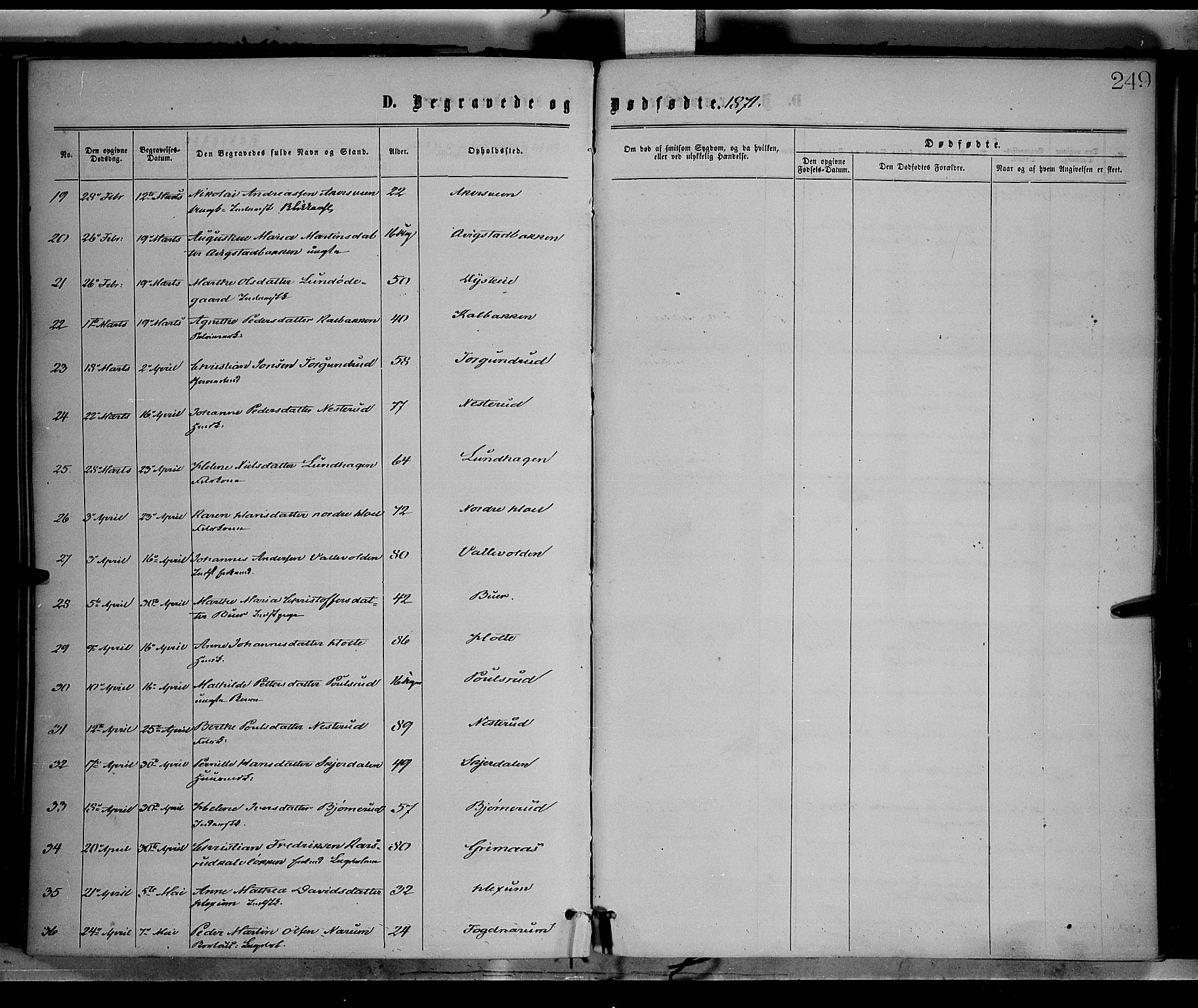 Vestre Toten prestekontor, AV/SAH-PREST-108/H/Ha/Haa/L0008: Ministerialbok nr. 8, 1870-1877, s. 249