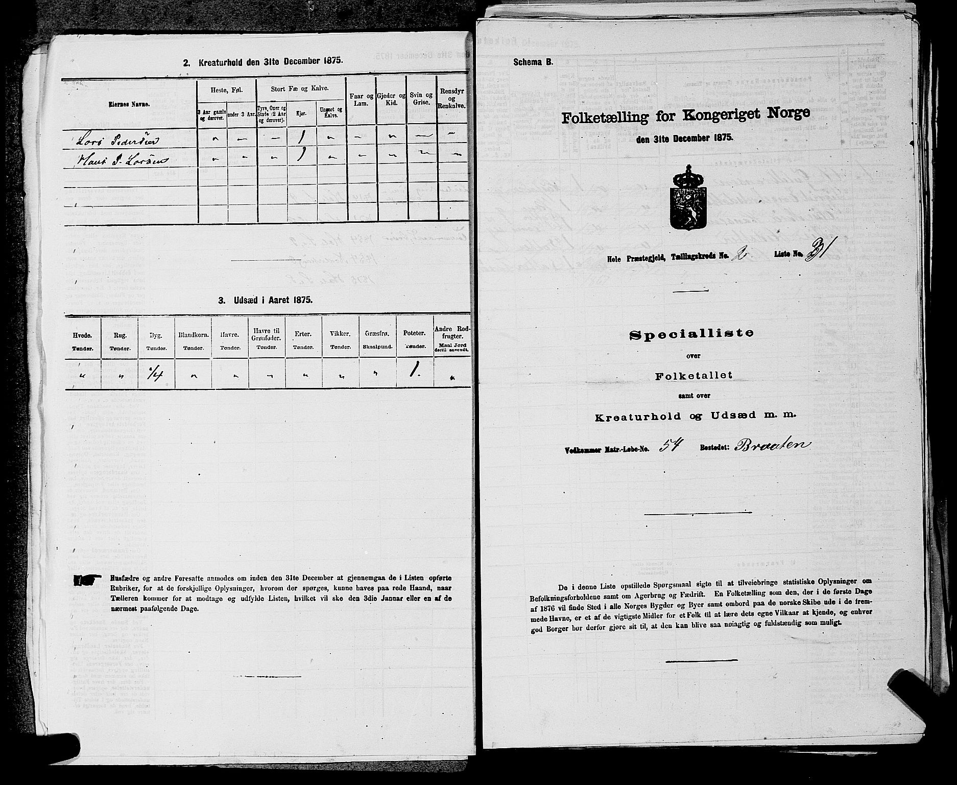 SAKO, Folketelling 1875 for 0612P Hole prestegjeld, 1875, s. 282