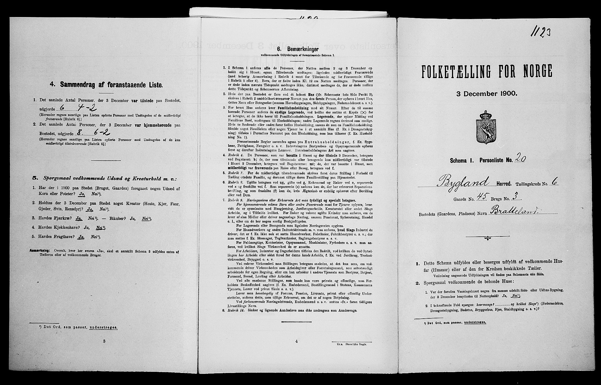 SAK, Folketelling 1900 for 0938 Bygland herred, 1900, s. 453