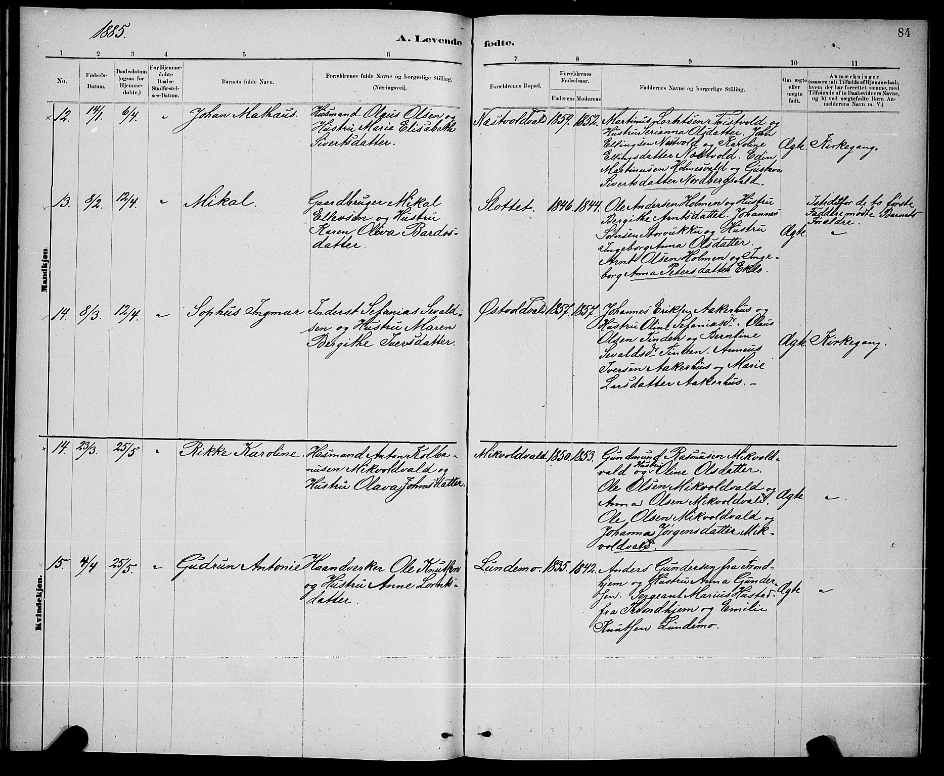 Ministerialprotokoller, klokkerbøker og fødselsregistre - Nord-Trøndelag, SAT/A-1458/723/L0256: Klokkerbok nr. 723C04, 1879-1890, s. 84