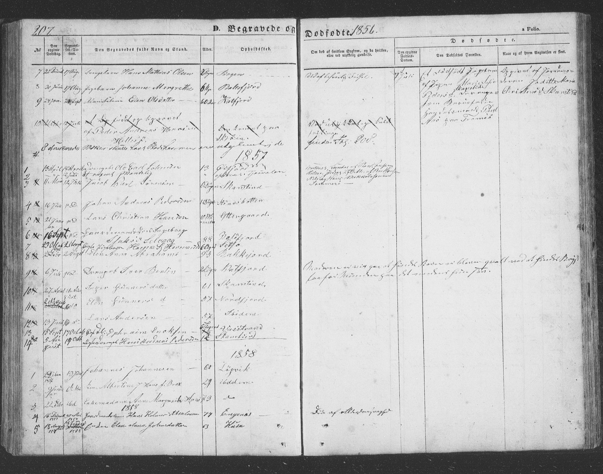 Lenvik sokneprestembete, AV/SATØ-S-1310/H/Ha/Hab/L0020klokker: Klokkerbok nr. 20, 1855-1883, s. 207