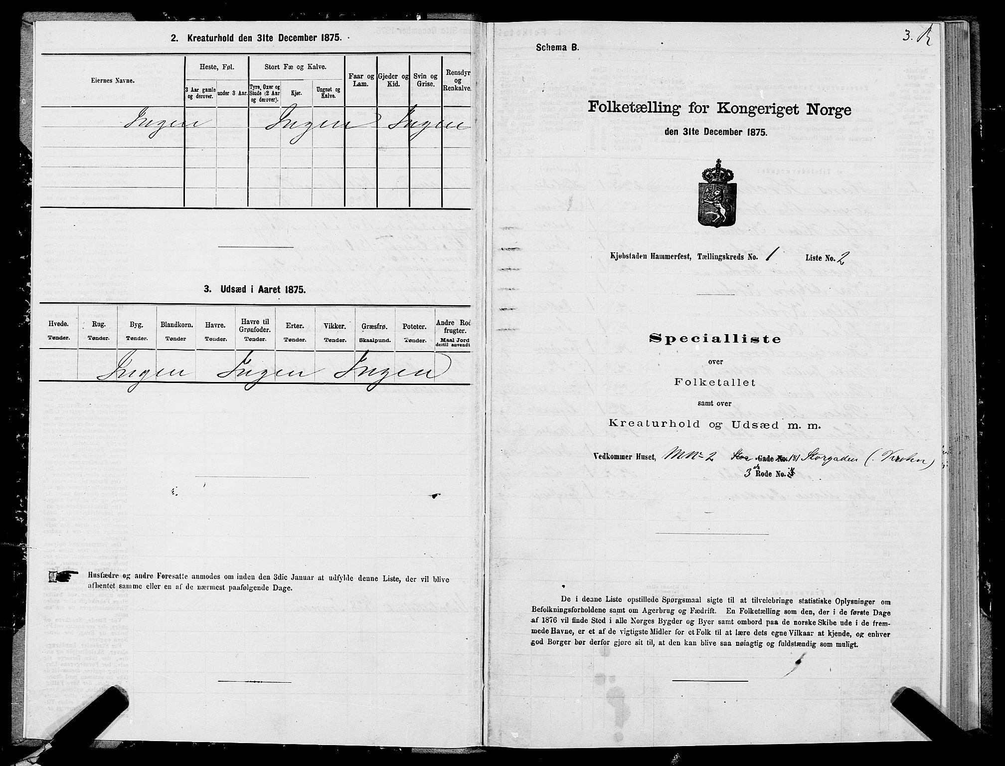 SATØ, Folketelling 1875 for 2001B Hammerfest prestegjeld, Hammerfest kjøpstad, 1875, s. 1003