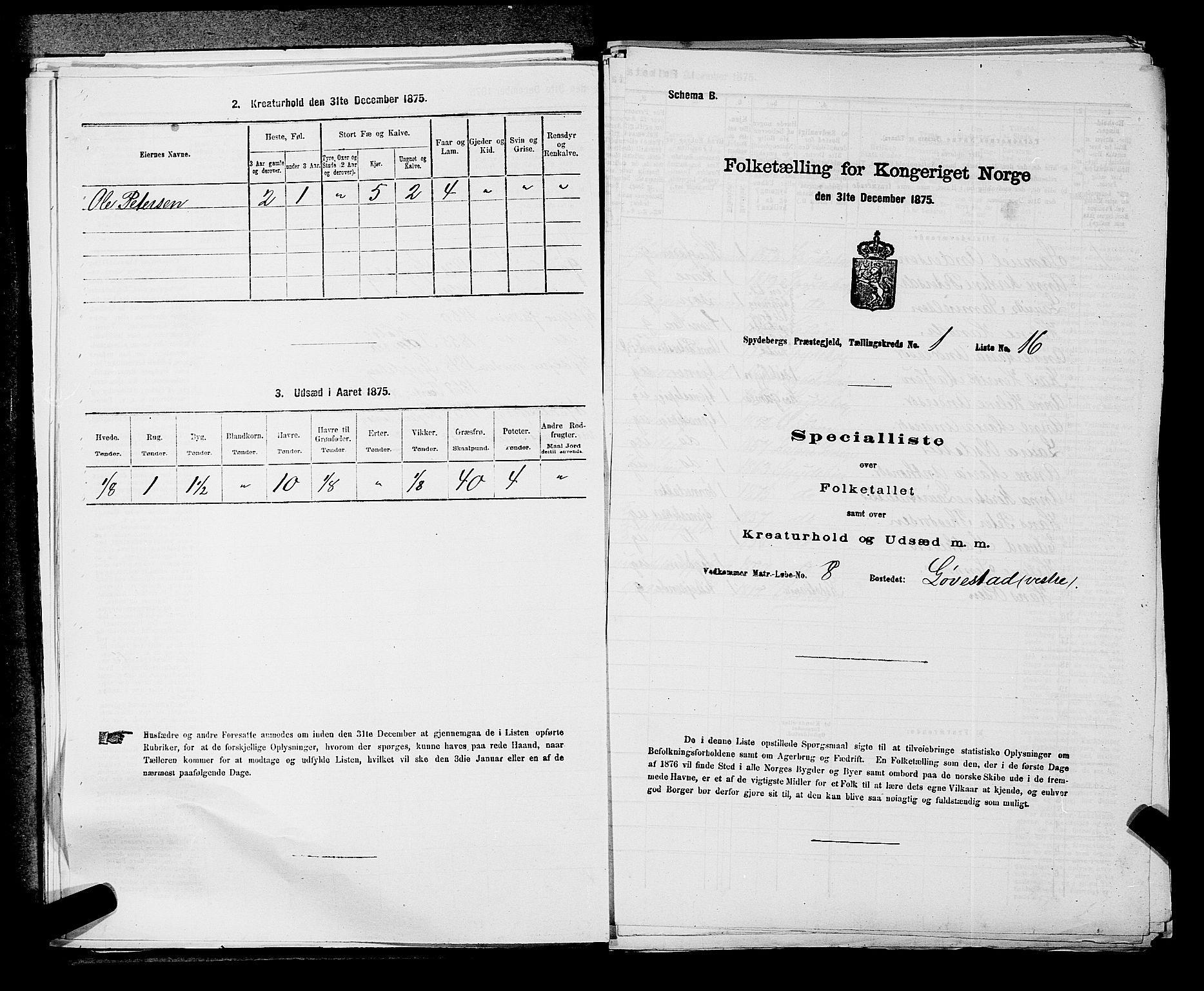 RA, Folketelling 1875 for 0123P Spydeberg prestegjeld, 1875, s. 73