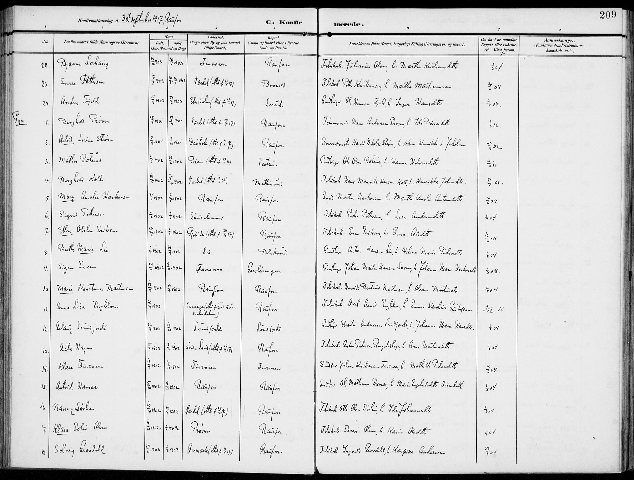 Vestre Toten prestekontor, AV/SAH-PREST-108/H/Ha/Haa/L0014: Ministerialbok nr. 14, 1907-1920, s. 209