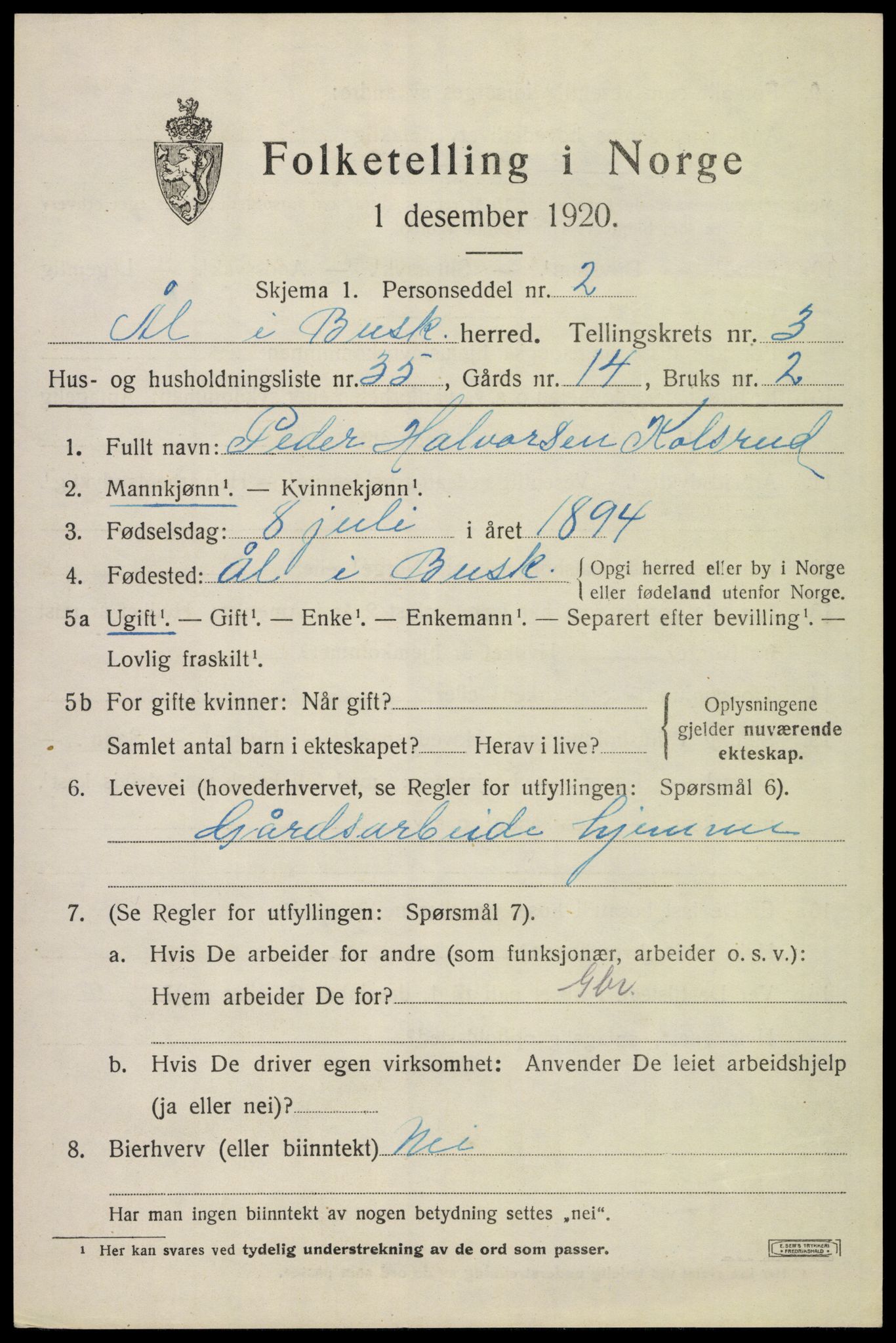 SAKO, Folketelling 1920 for 0619 Ål herred, 1920, s. 2782