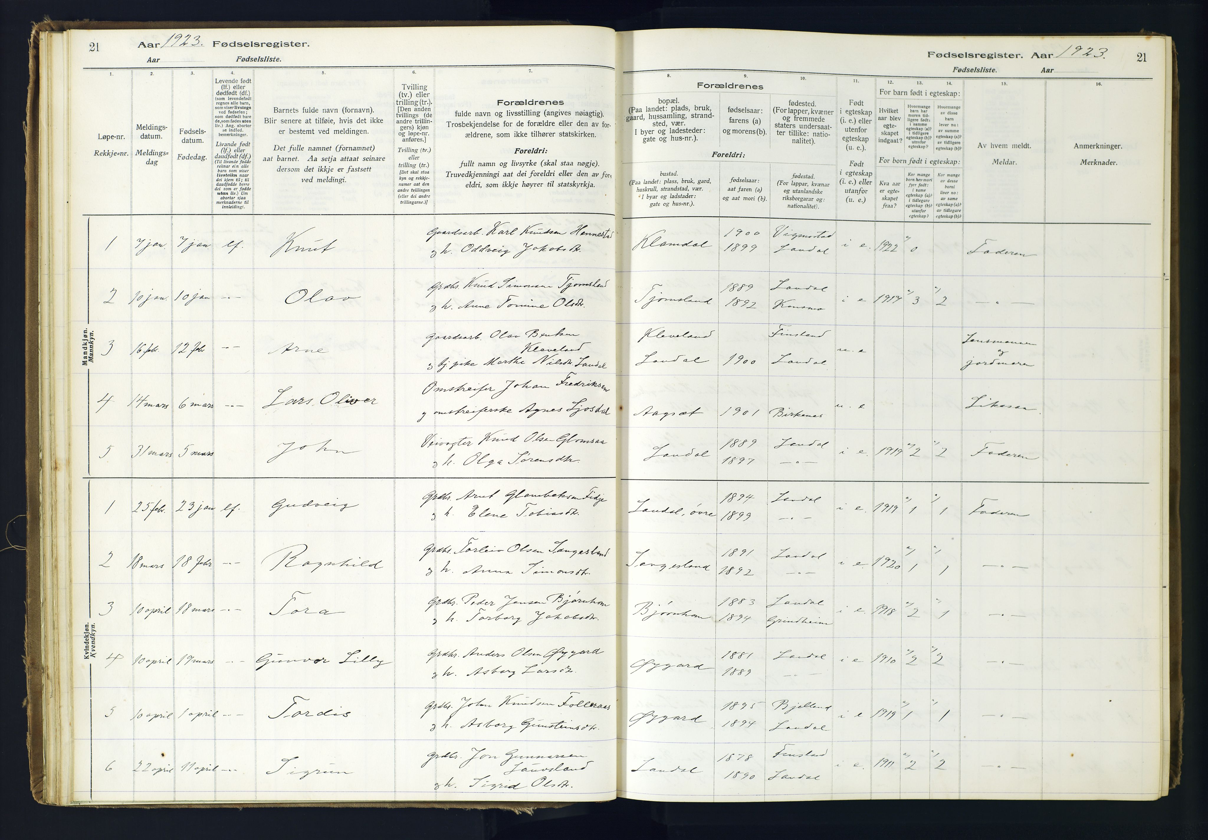 Holum sokneprestkontor, SAK/1111-0022/J/Ja/L0001: Fødselsregister nr. II.6.10, 1916-1982, s. 21