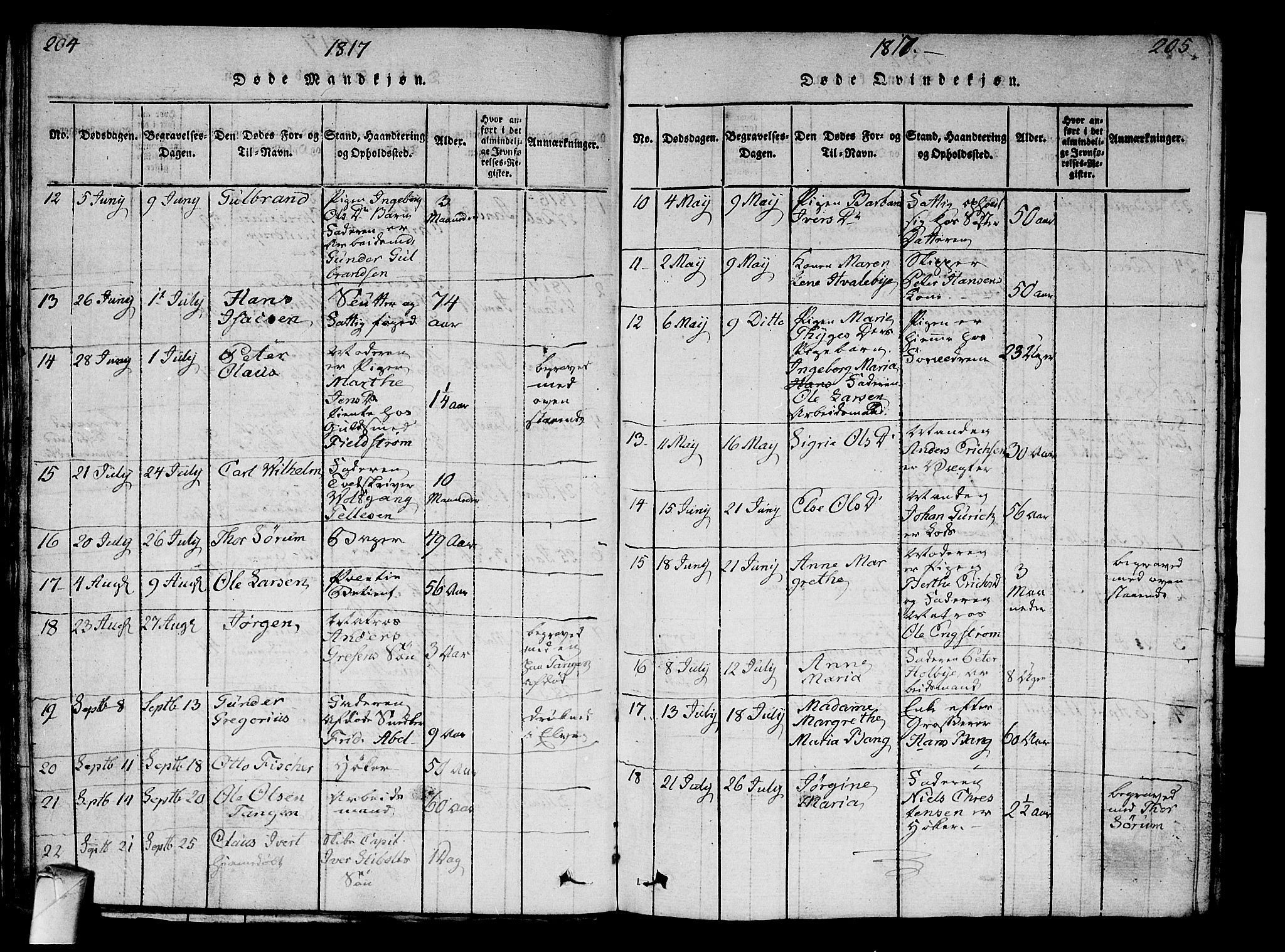 Strømsø kirkebøker, AV/SAKO-A-246/G/Ga/L0001: Klokkerbok nr. 1, 1815-1829, s. 204-205