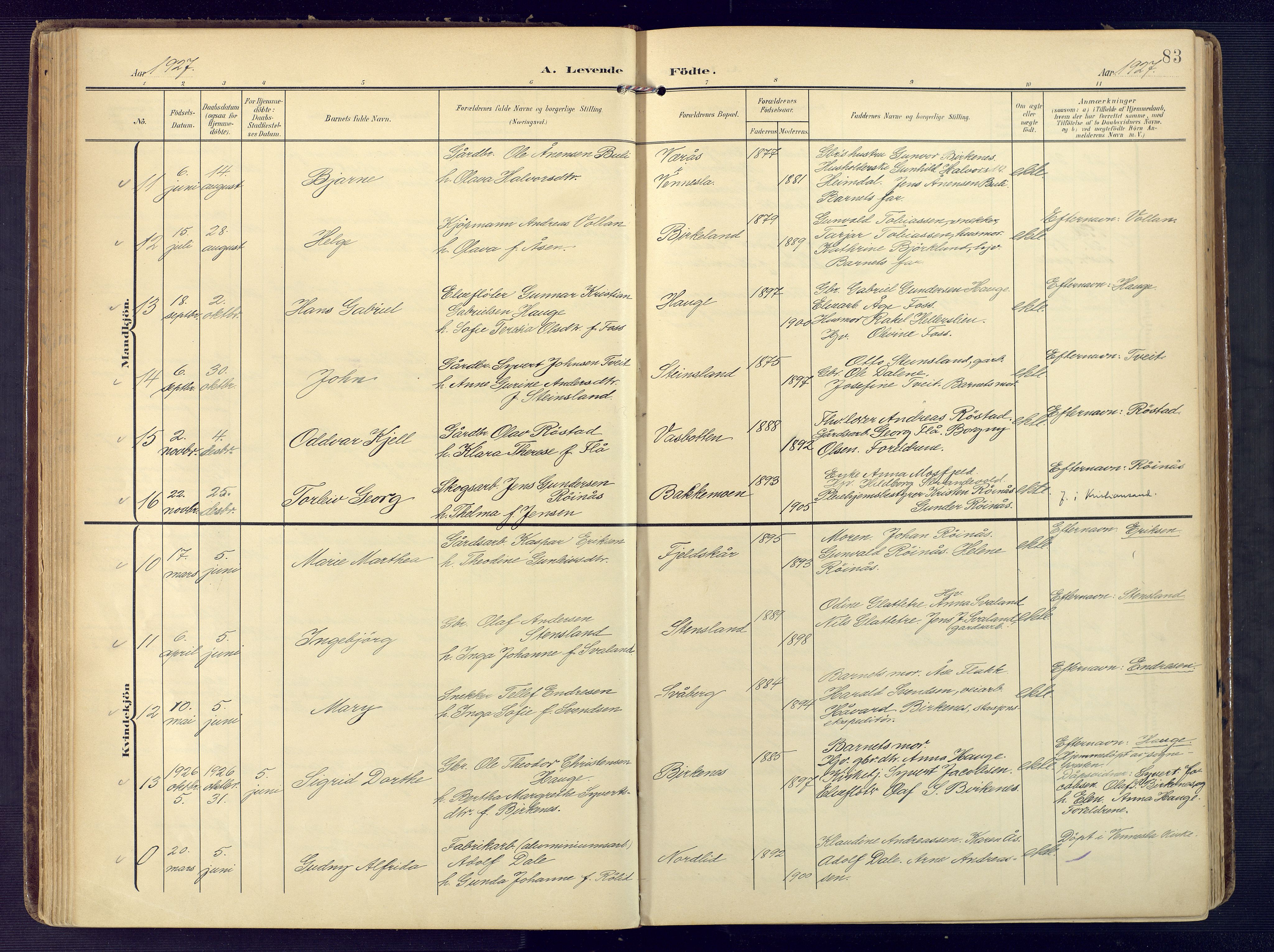 Birkenes sokneprestkontor, AV/SAK-1111-0004/F/Fa/L0006: Ministerialbok nr. A 6, 1908-1932, s. 83