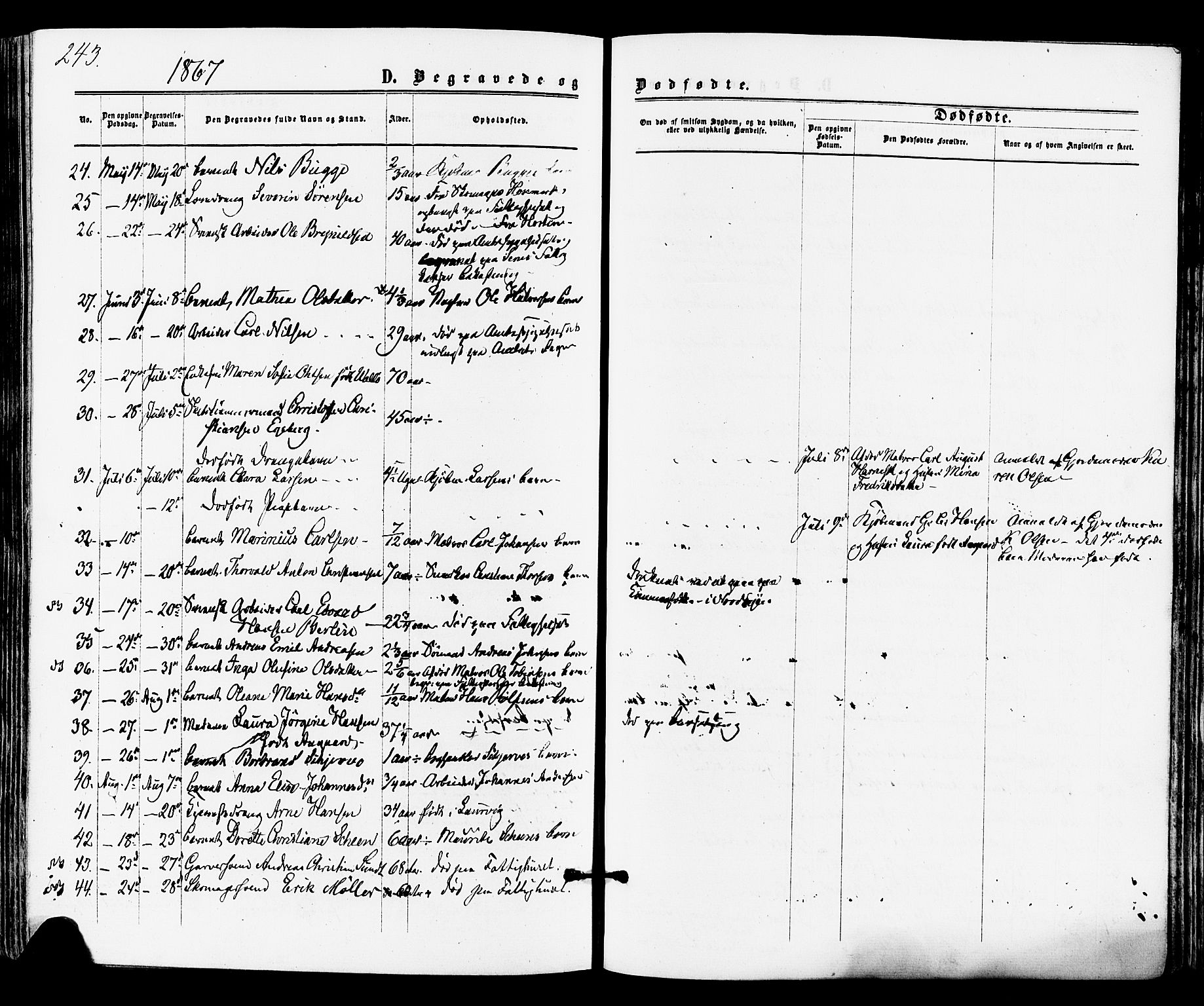 Tønsberg kirkebøker, AV/SAKO-A-330/F/Fa/L0009: Ministerialbok nr. I 9, 1865-1873, s. 243