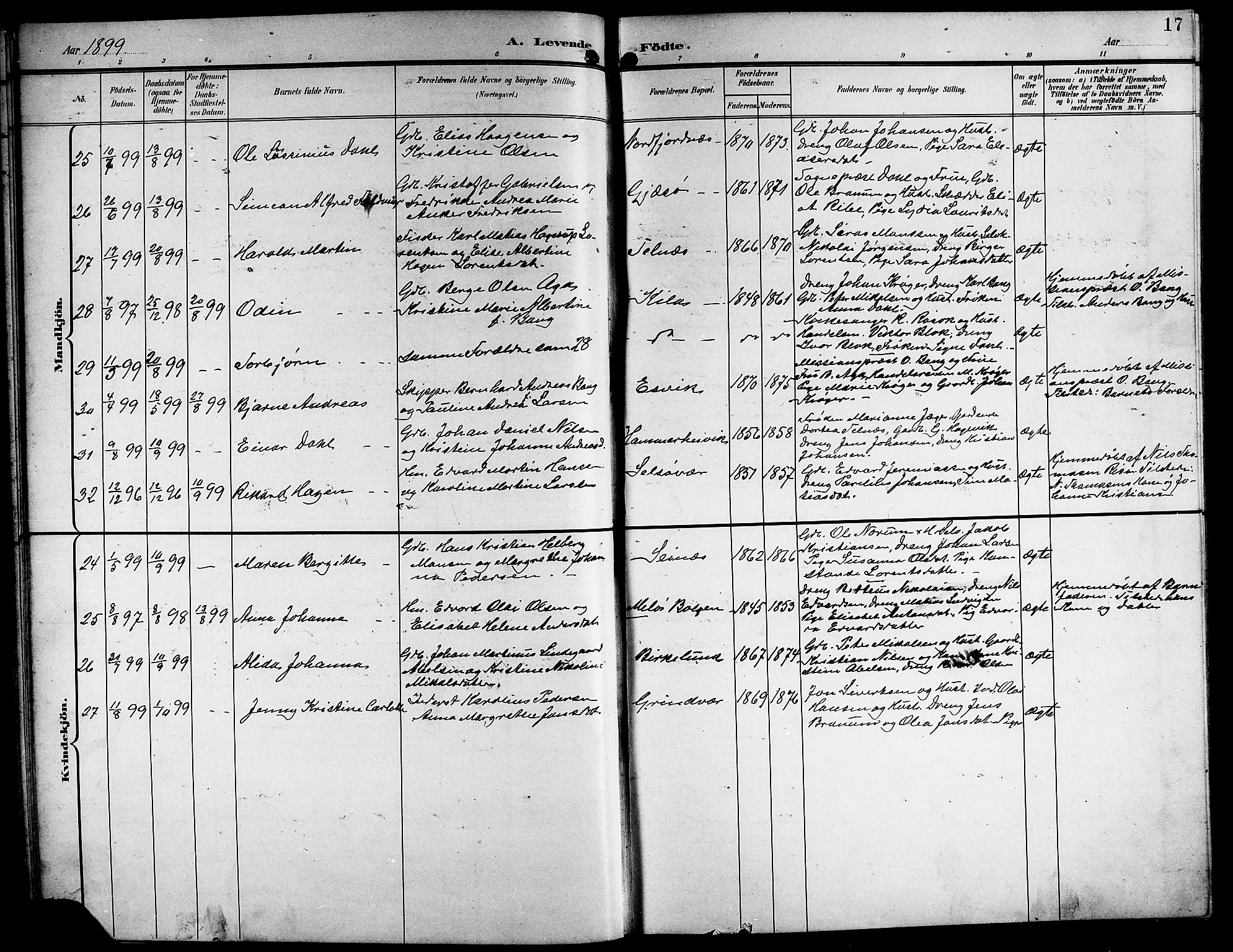 Ministerialprotokoller, klokkerbøker og fødselsregistre - Nordland, AV/SAT-A-1459/841/L0621: Klokkerbok nr. 841C05, 1897-1923, s. 17