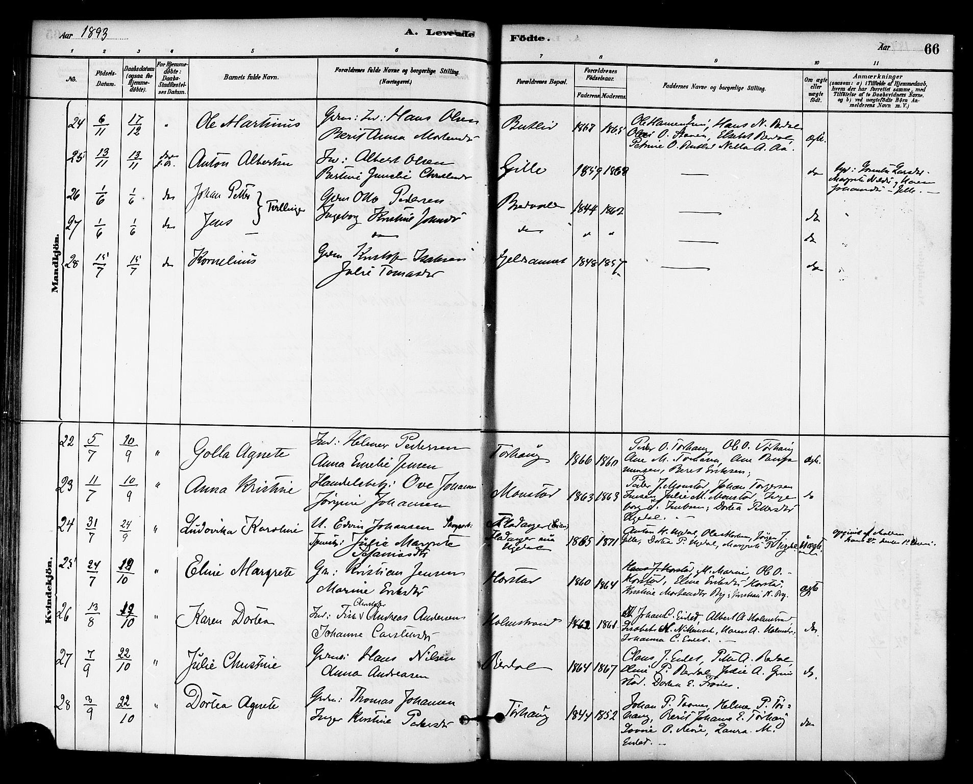 Ministerialprotokoller, klokkerbøker og fødselsregistre - Sør-Trøndelag, SAT/A-1456/655/L0680: Ministerialbok nr. 655A09, 1880-1894, s. 66