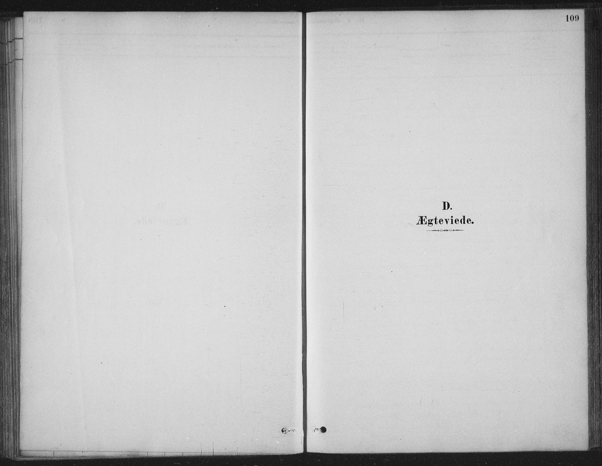 Ministerialprotokoller, klokkerbøker og fødselsregistre - Nordland, SAT/A-1459/825/L0361: Ministerialbok nr. 825A15, 1878-1893, s. 109