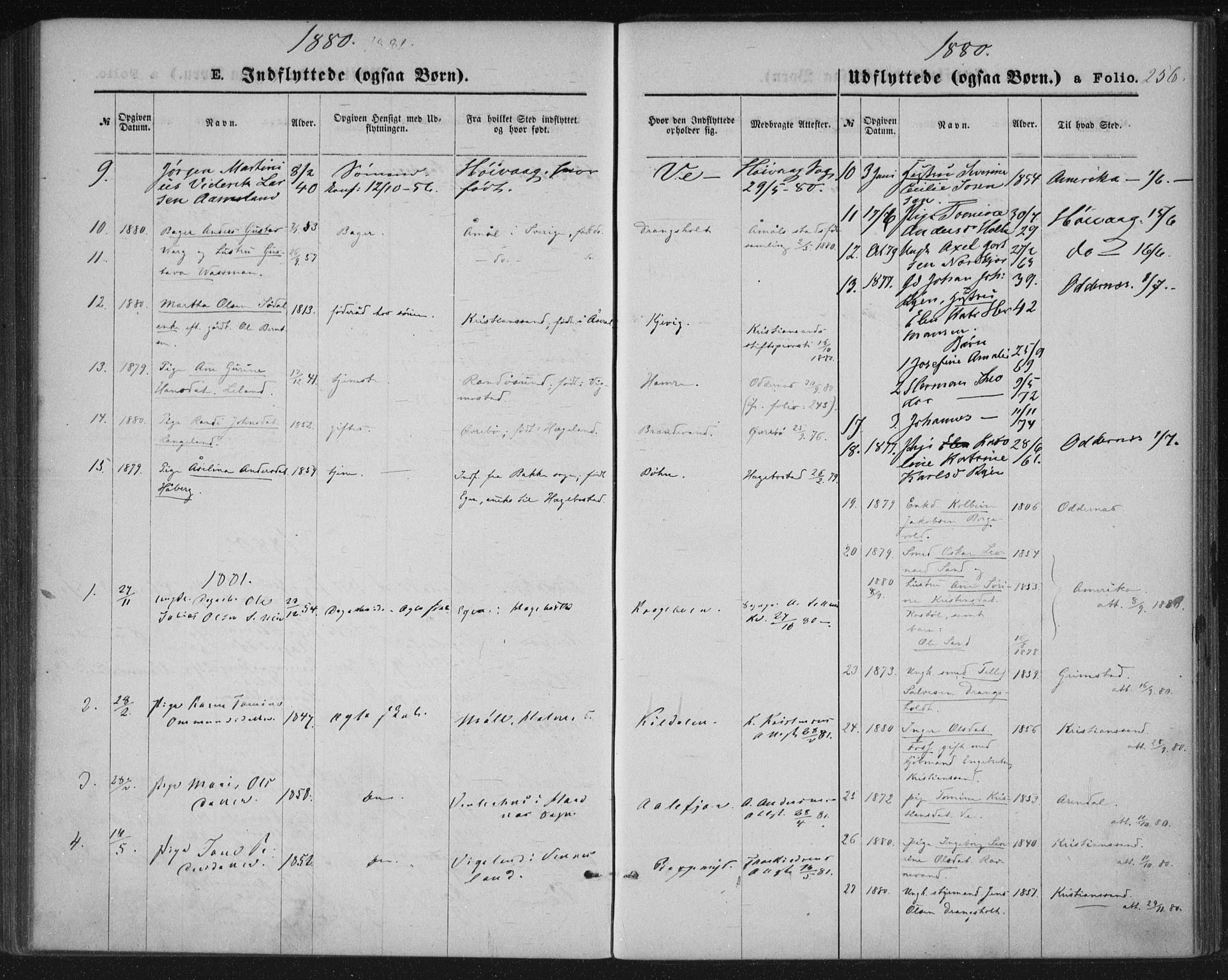 Tveit sokneprestkontor, AV/SAK-1111-0043/F/Fa/L0006: Ministerialbok nr. A 6, 1872-1886, s. 256